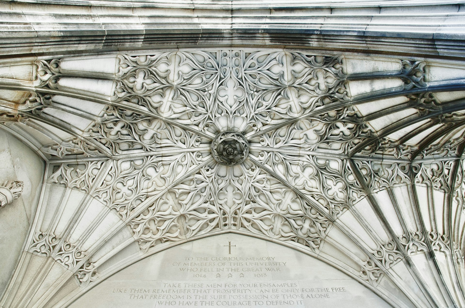 woman wearing yellow long-sleeved dress under white clouds and blue sky during daytime