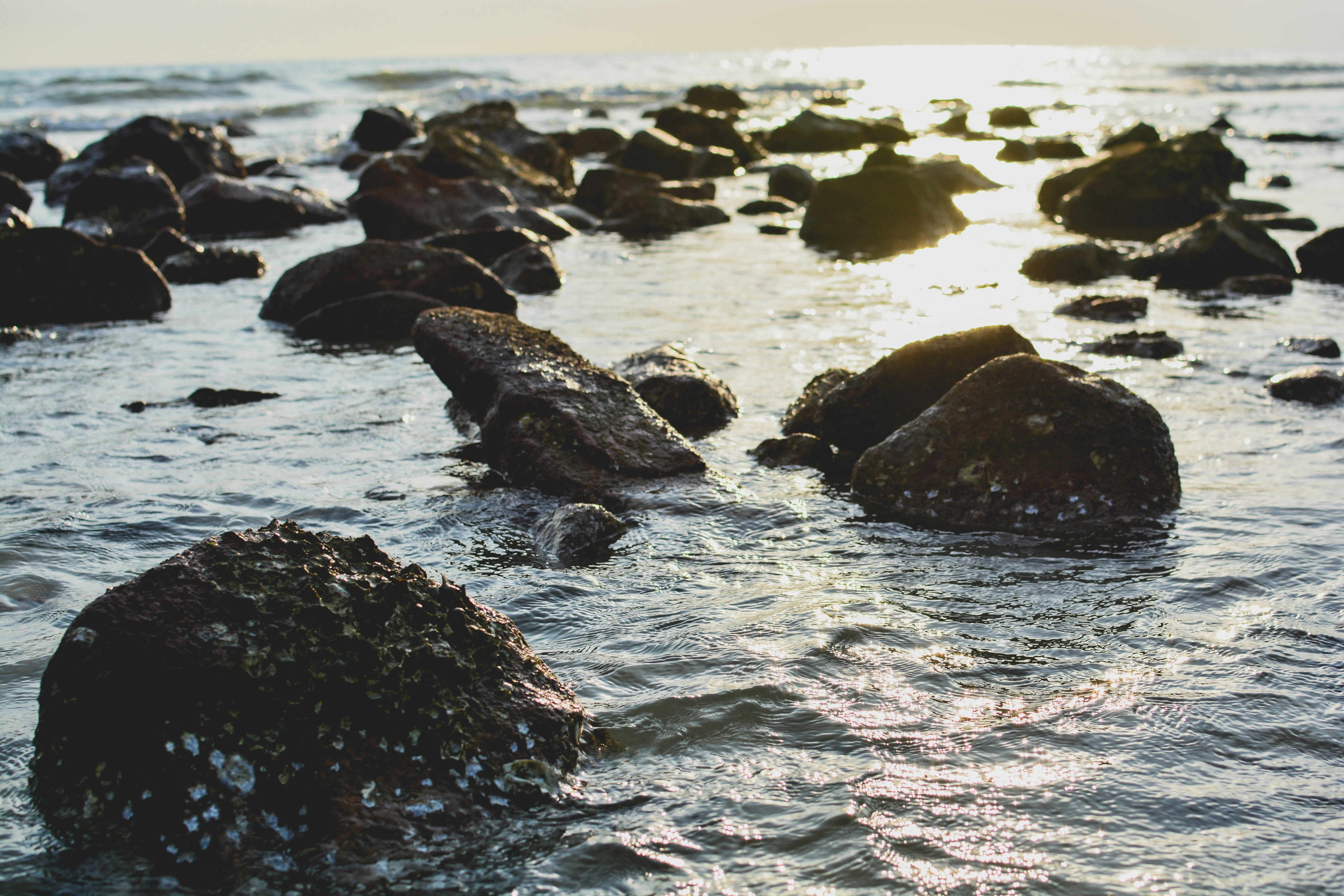 Free Unsplash photo from Thanachot Phonket