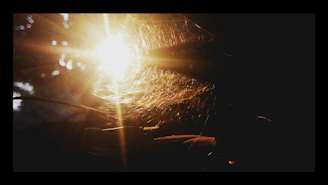 A clean, cozy living room with sunlight streaming in, free of any spider webs.