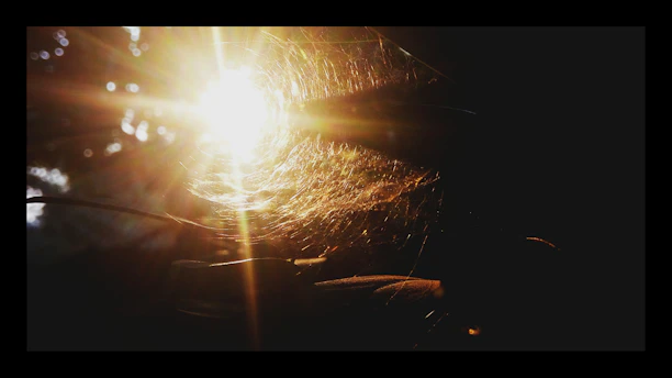 A clean, cozy living room with sunlight streaming in, free of any spider webs.