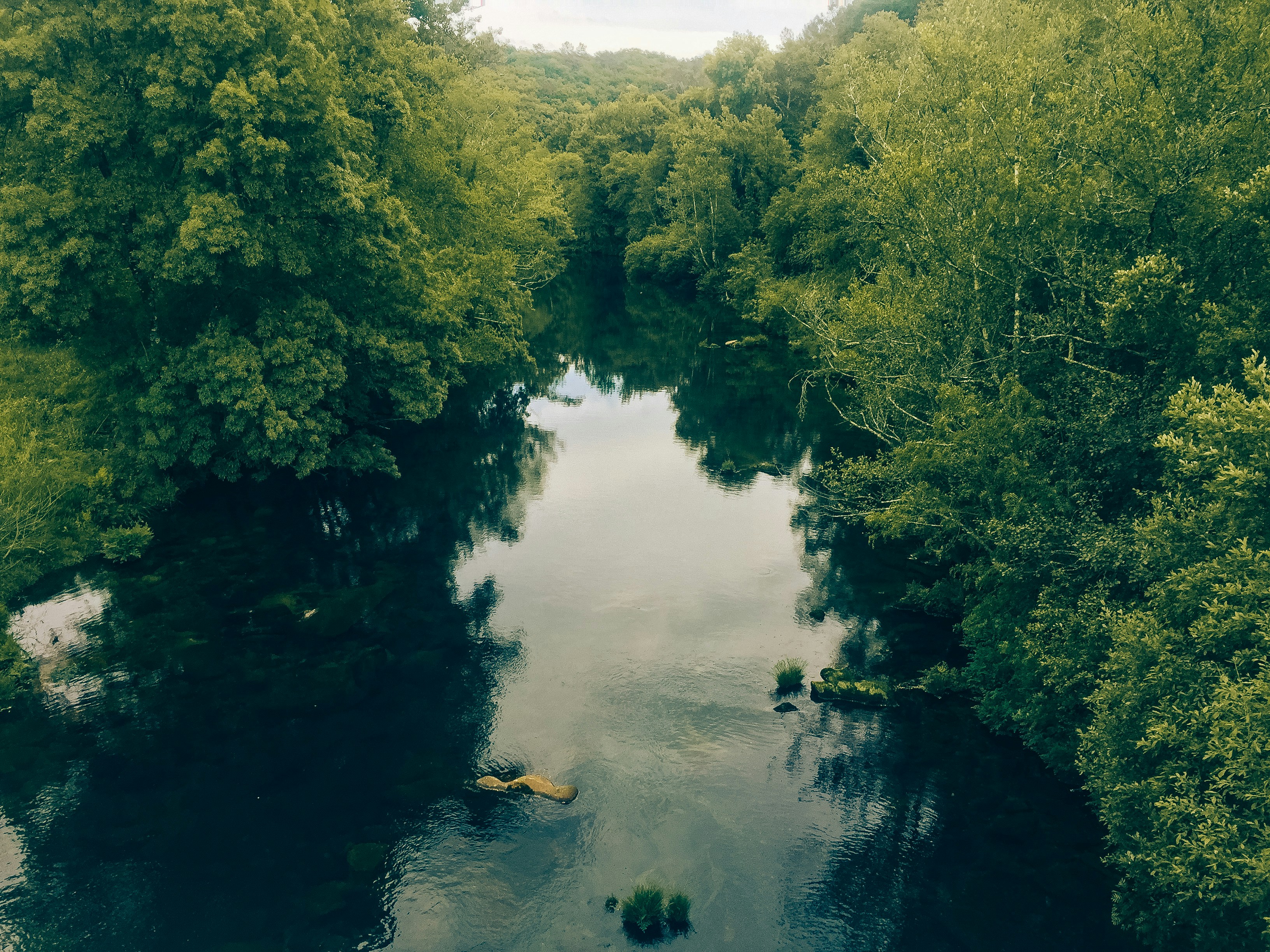 Free Unsplash photo from Aperture Vintage