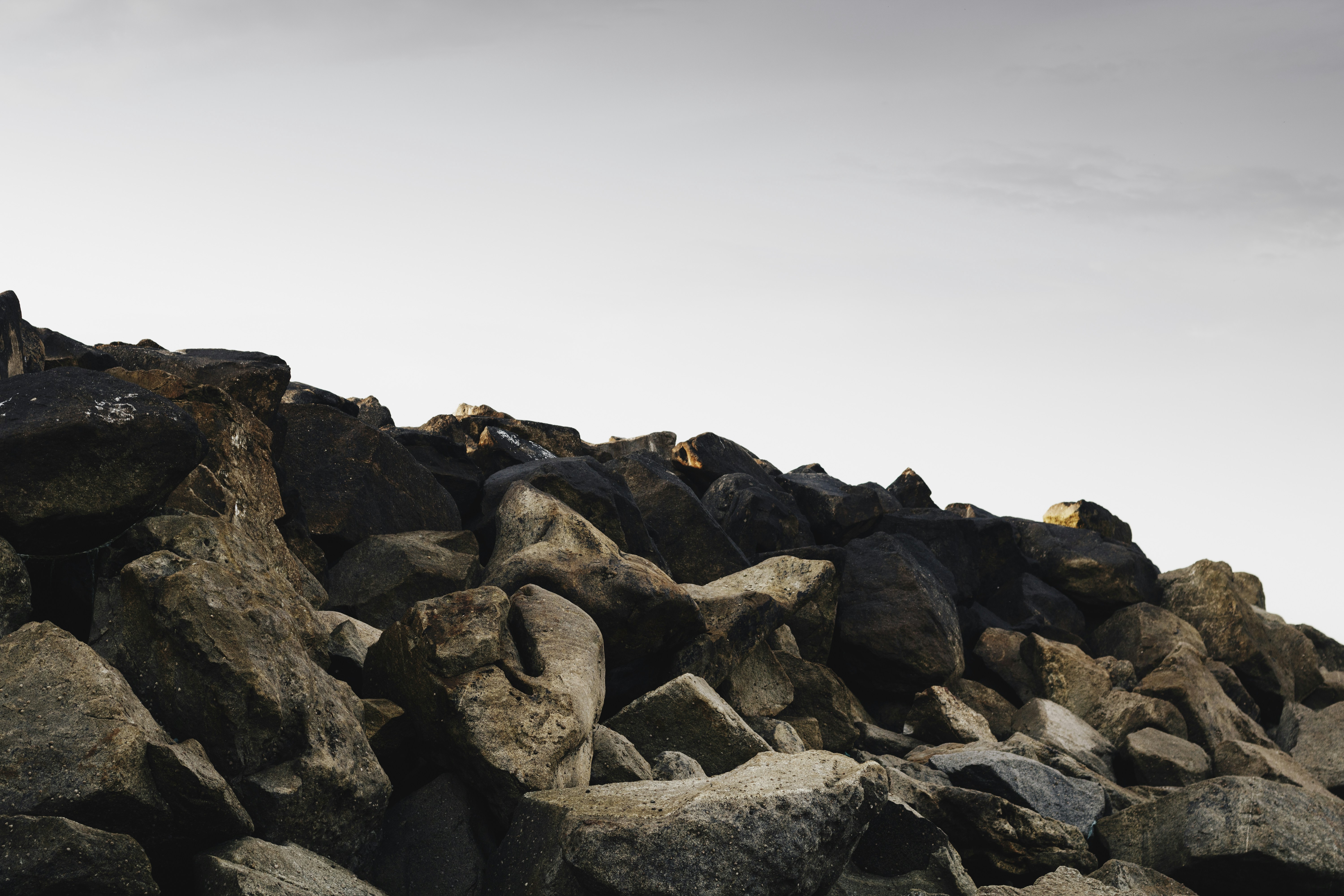 Free Unsplash photo from Tiago Almeida