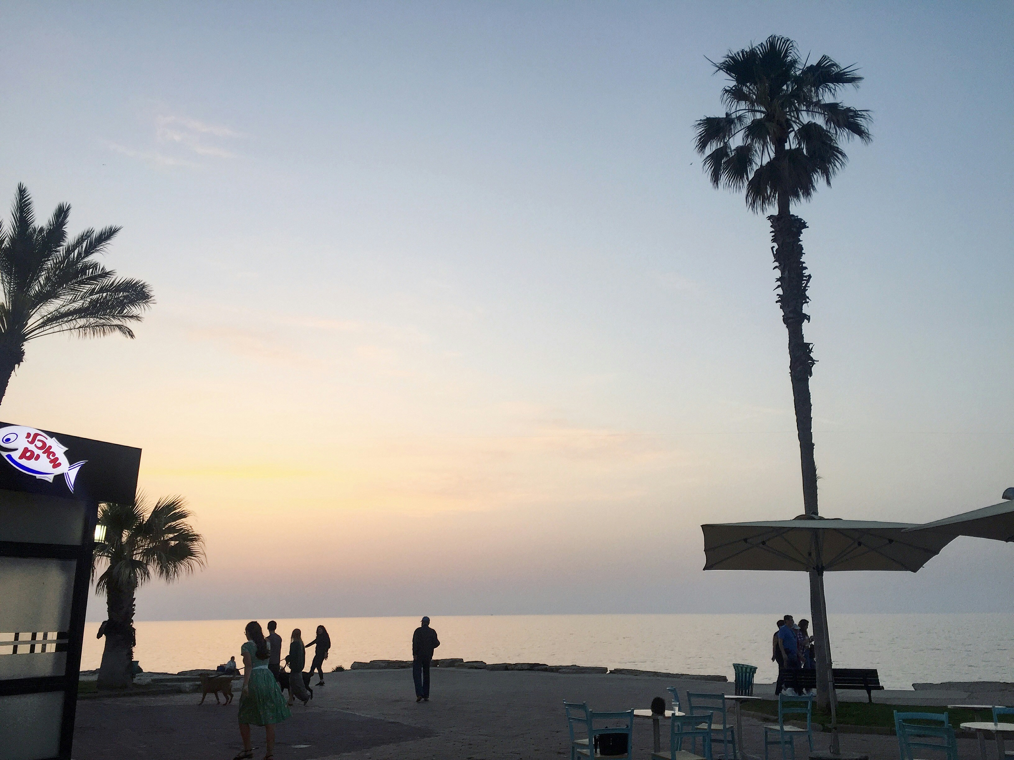 Free Unsplash photo from Tatiana Zhukova