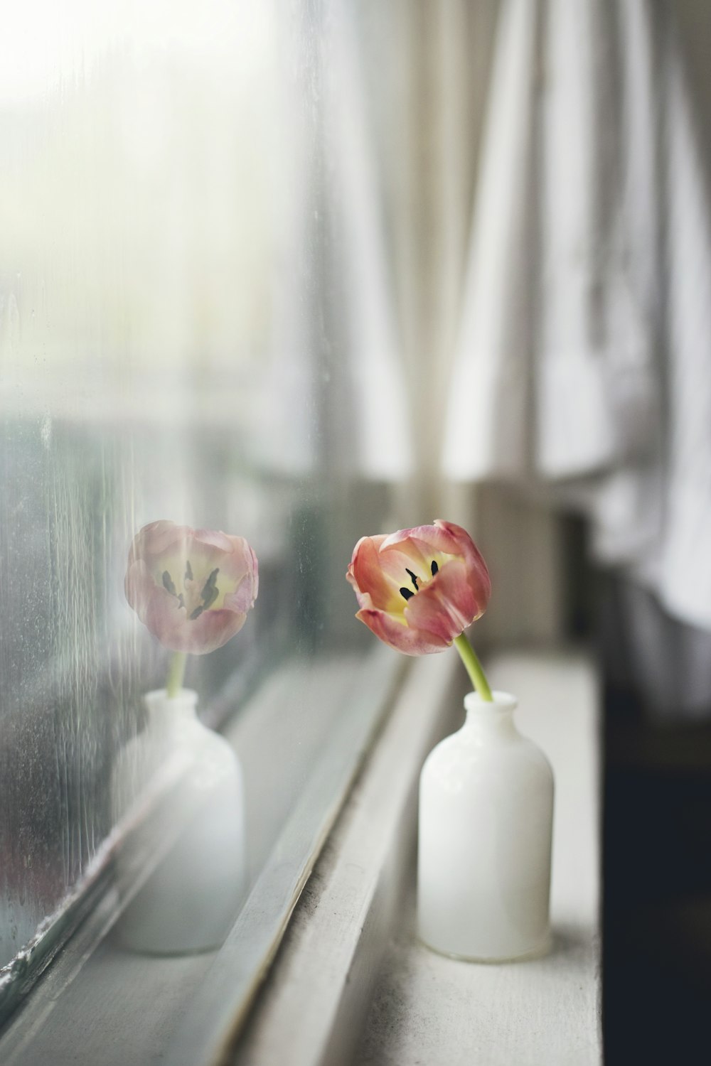 fleur à pétales roses dans une bouteille en verre blanc