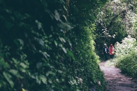A narrow path meanders through a dense, lush forest with two people walking side by side. Tall green foliage and trees create a natural corridor, casting shadows along the dirt path. The individuals appear to be engaged in conversation, both wearing casual outdoor clothing suitable for a hike.