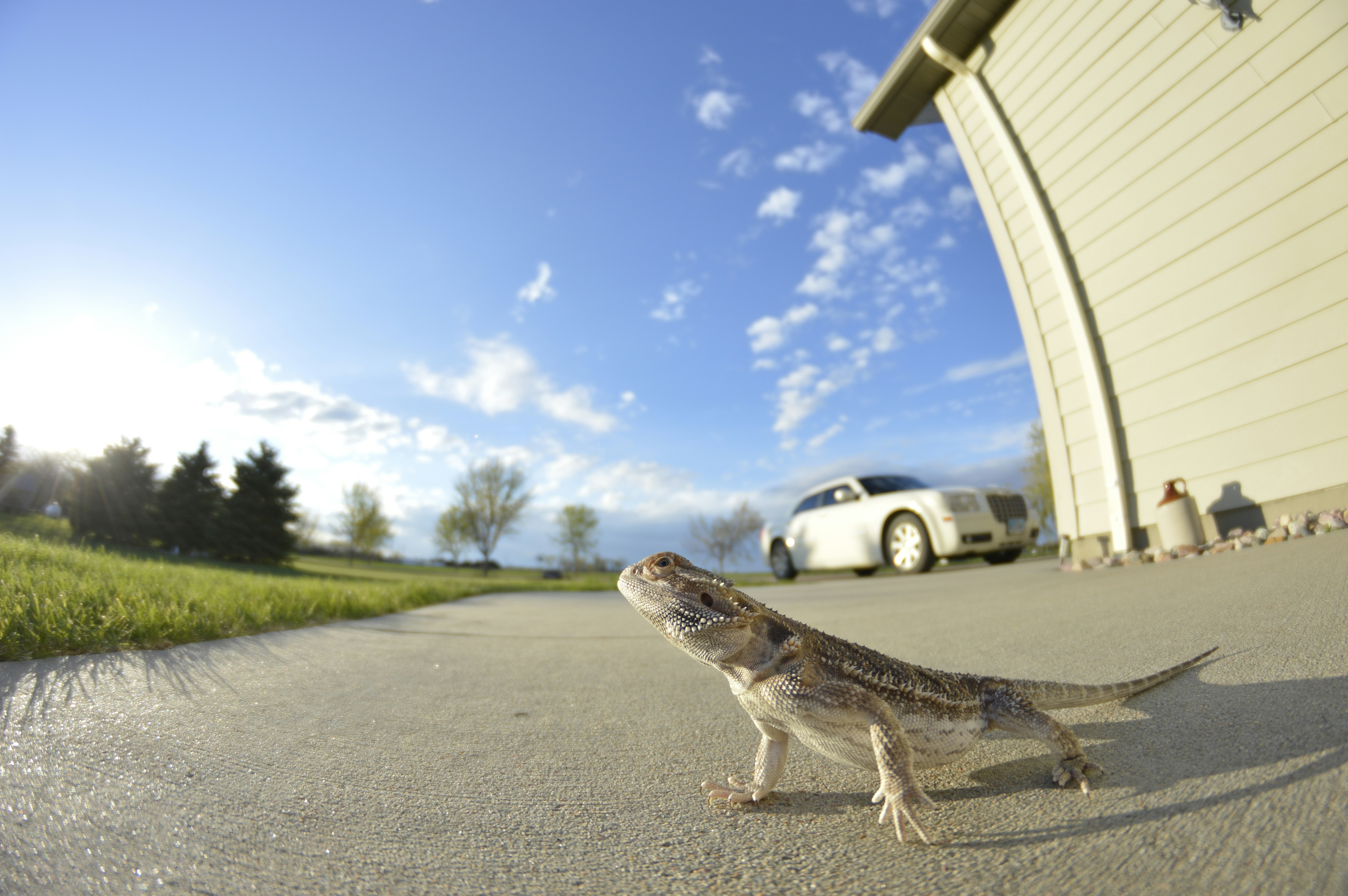 Free Unsplash photo from Michael Pettit