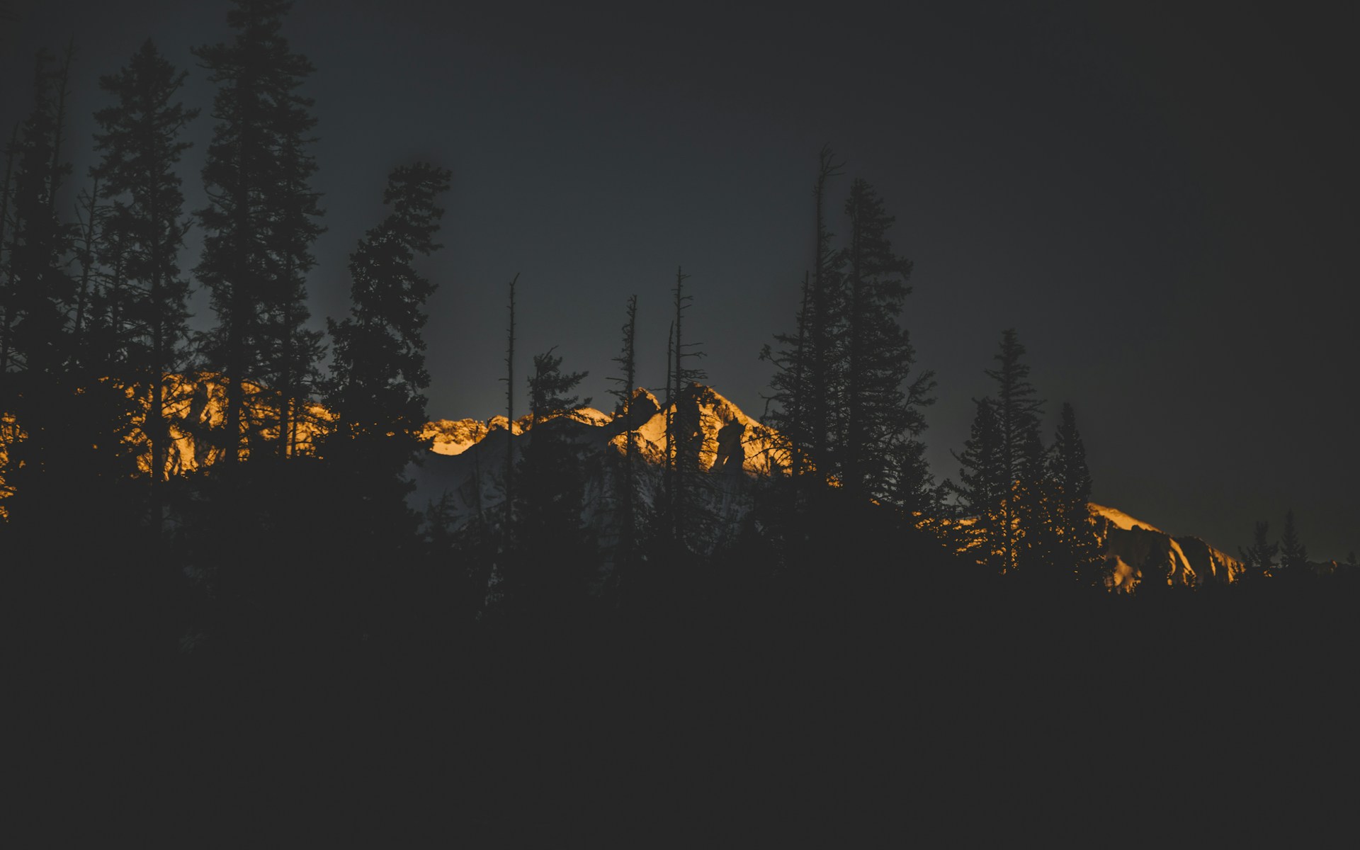 landscape photo on mountain alps