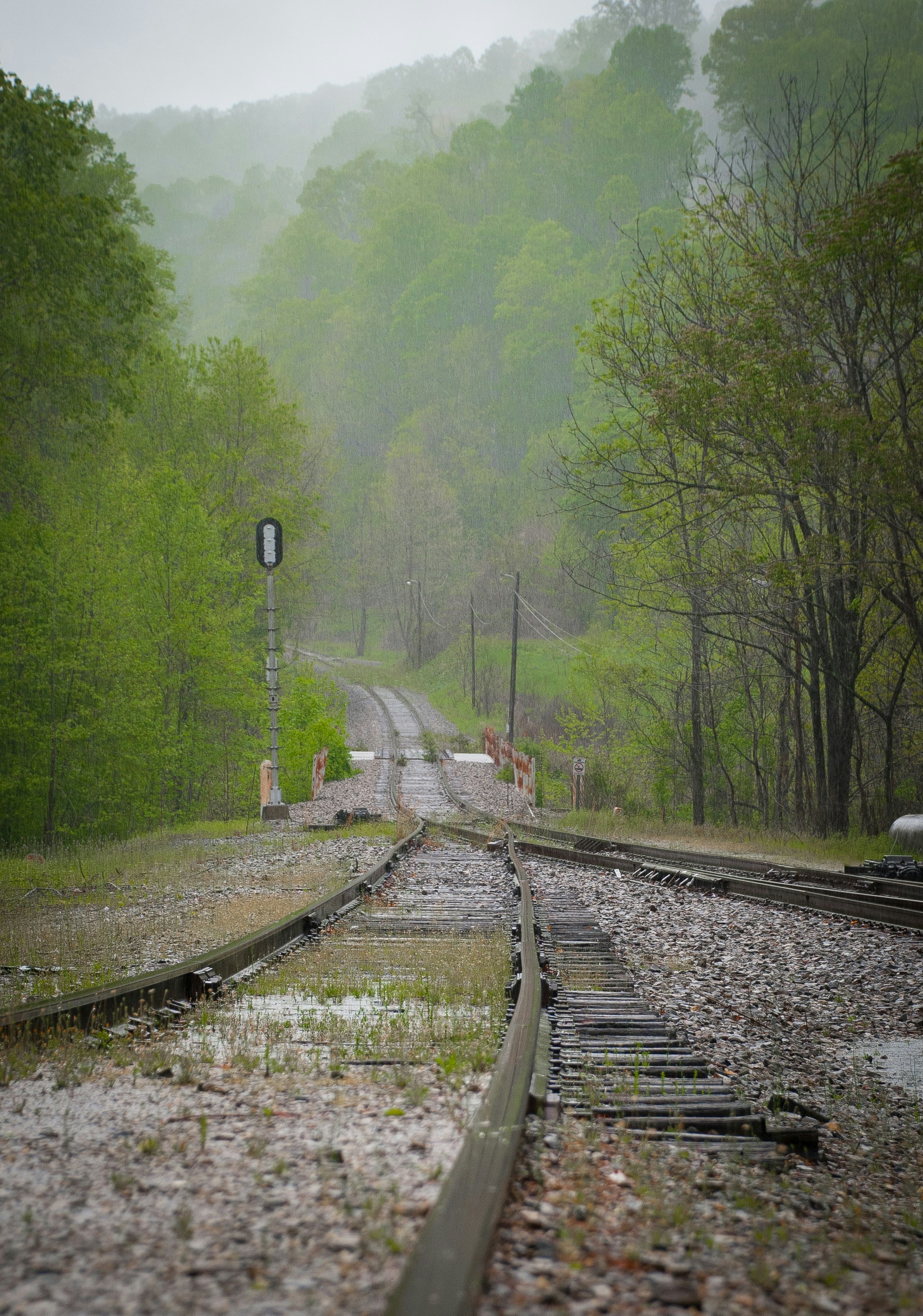 Free Unsplash photo from Shay Carlson