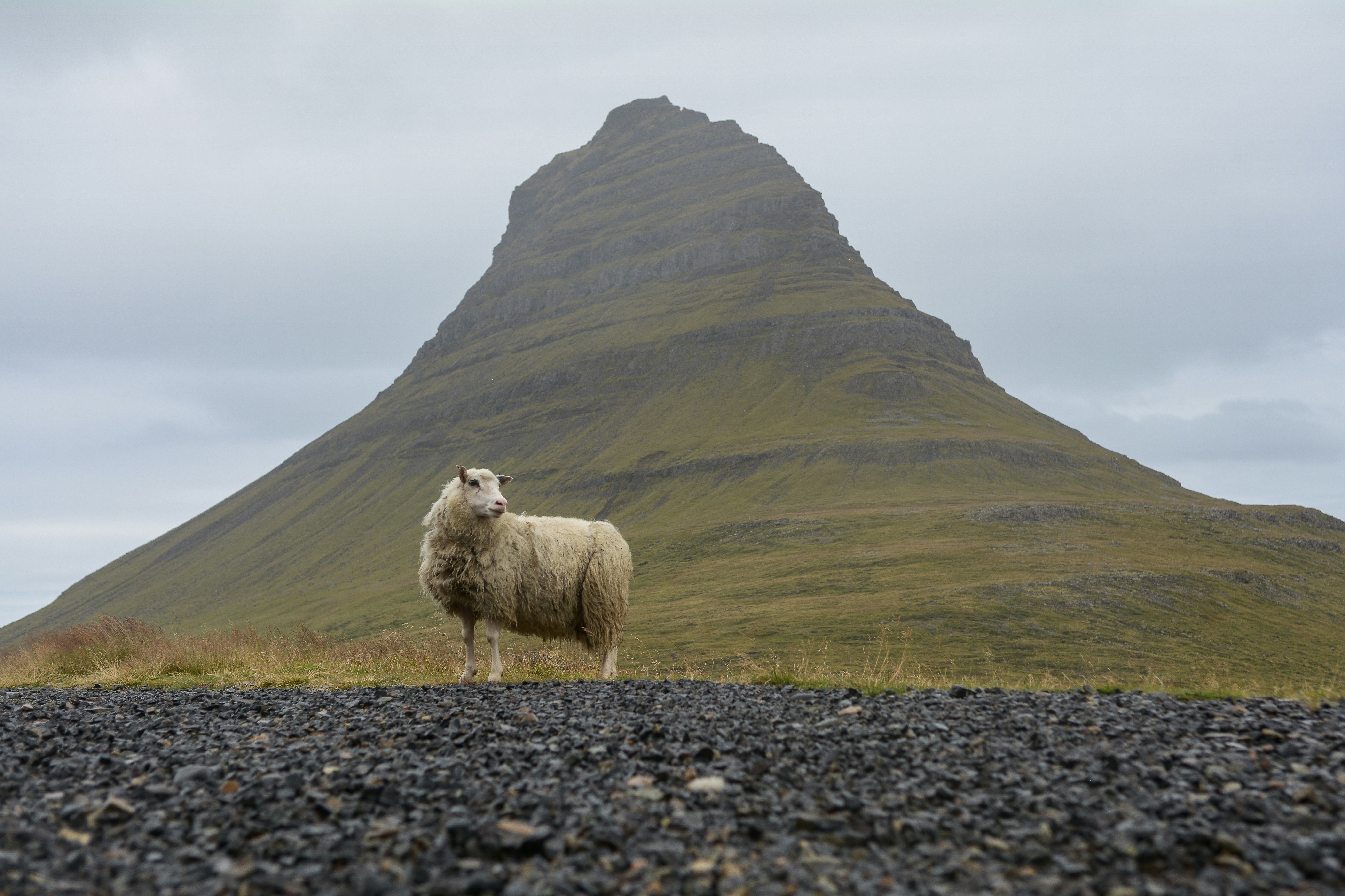 Free Unsplash photo from Eric Welch