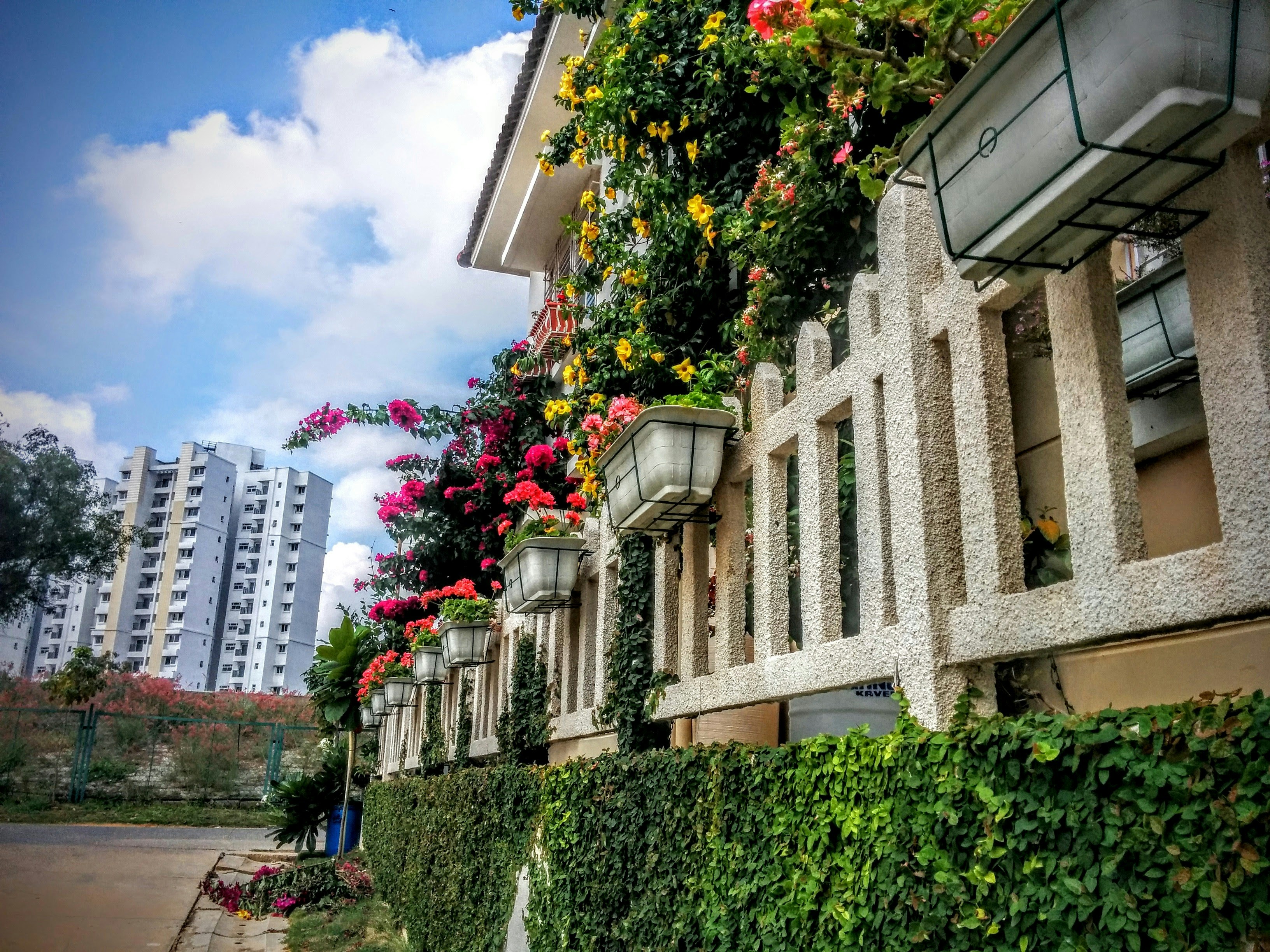 Free Unsplash photo from Anirudh