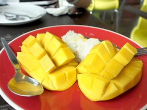 An overhead shot of four mango sticky rice desserts in different flavors arranged neatly on a colorful tray.