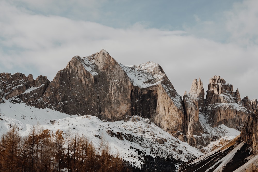 rocky mountains near pine trees