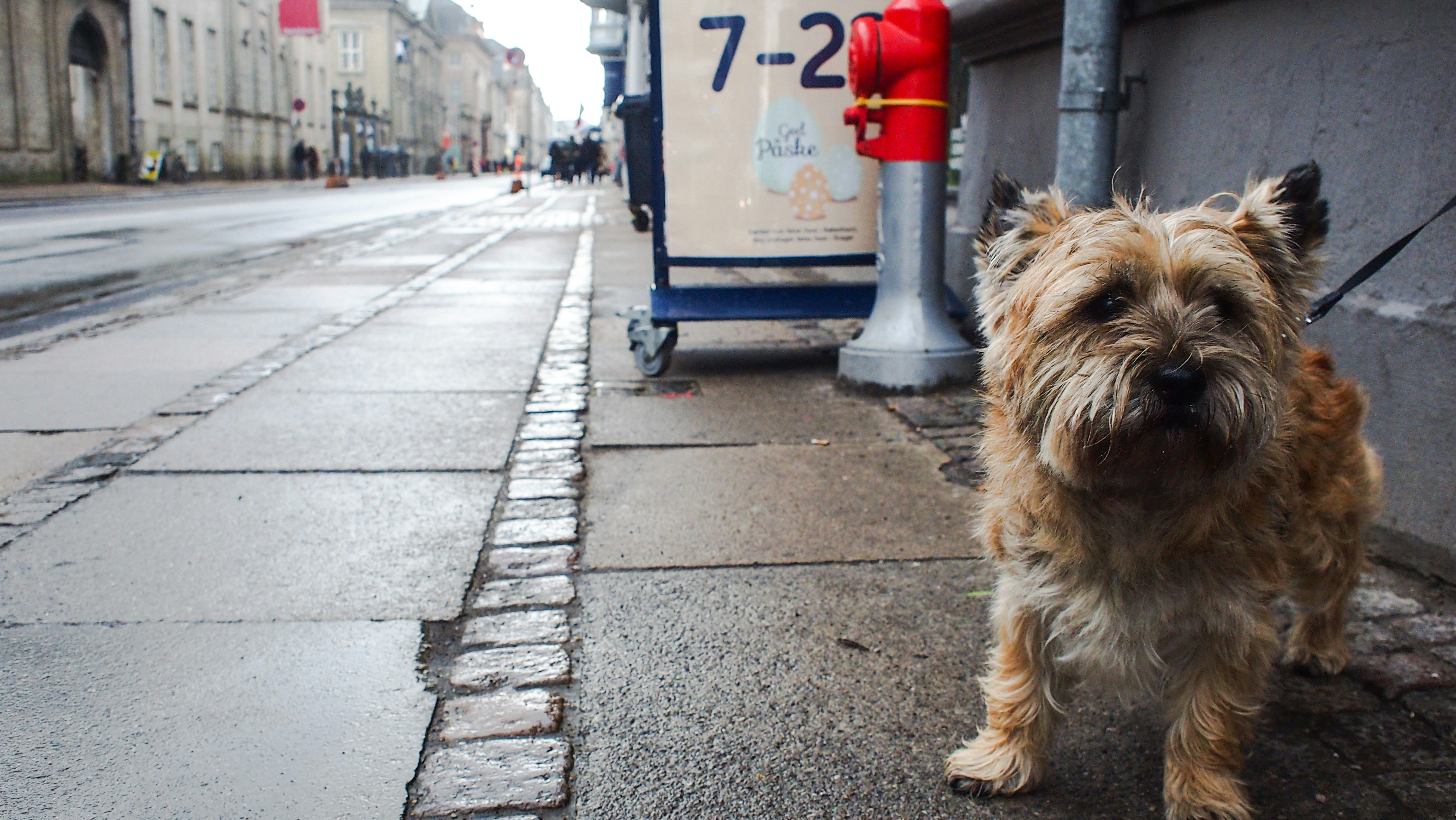 Free Unsplash photo from Cheng Ling