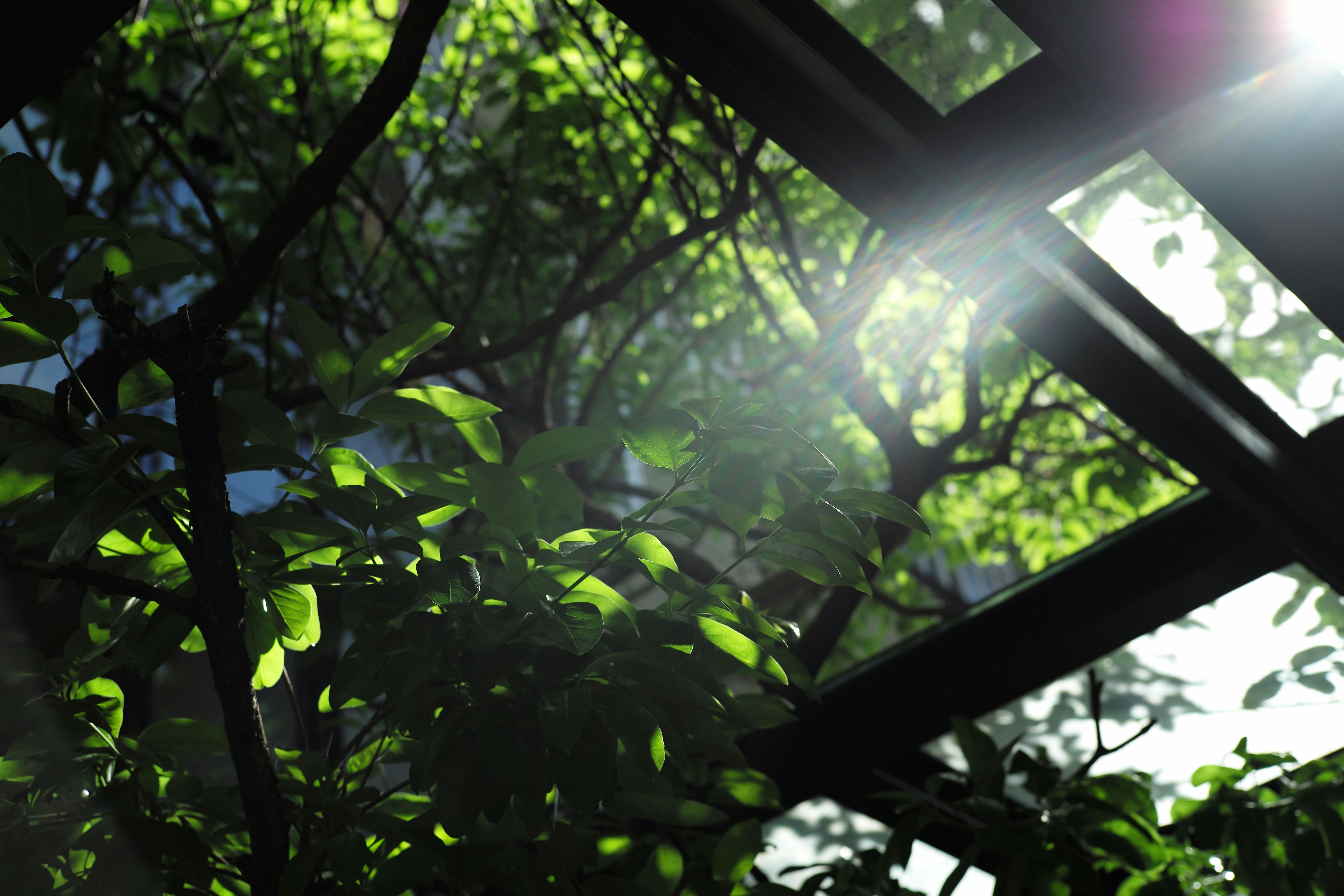 Free Unsplash photo from Cater Yang