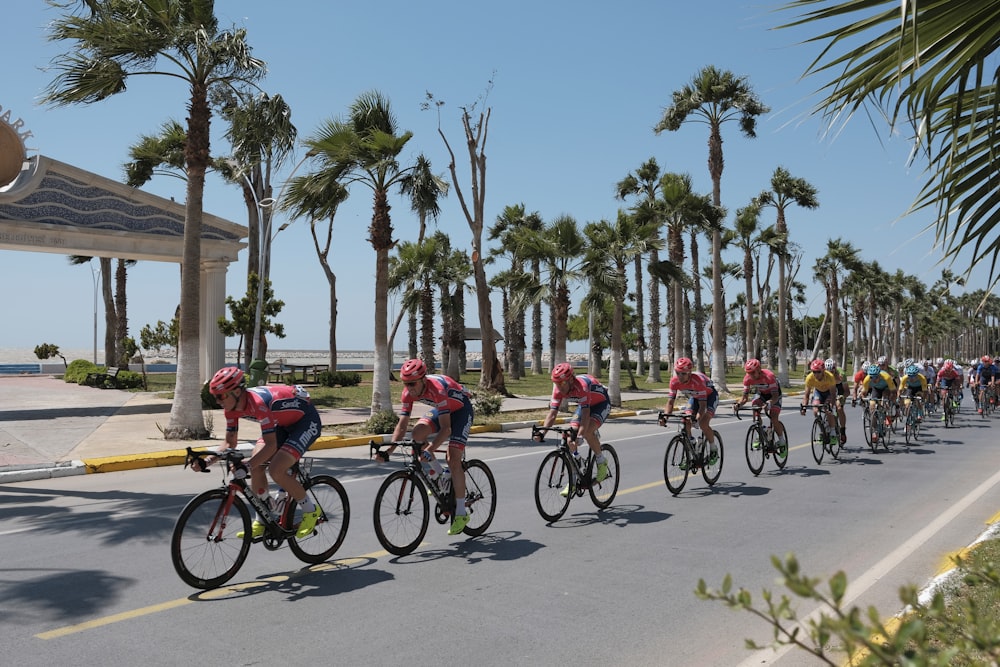 group of bicycle riders on road