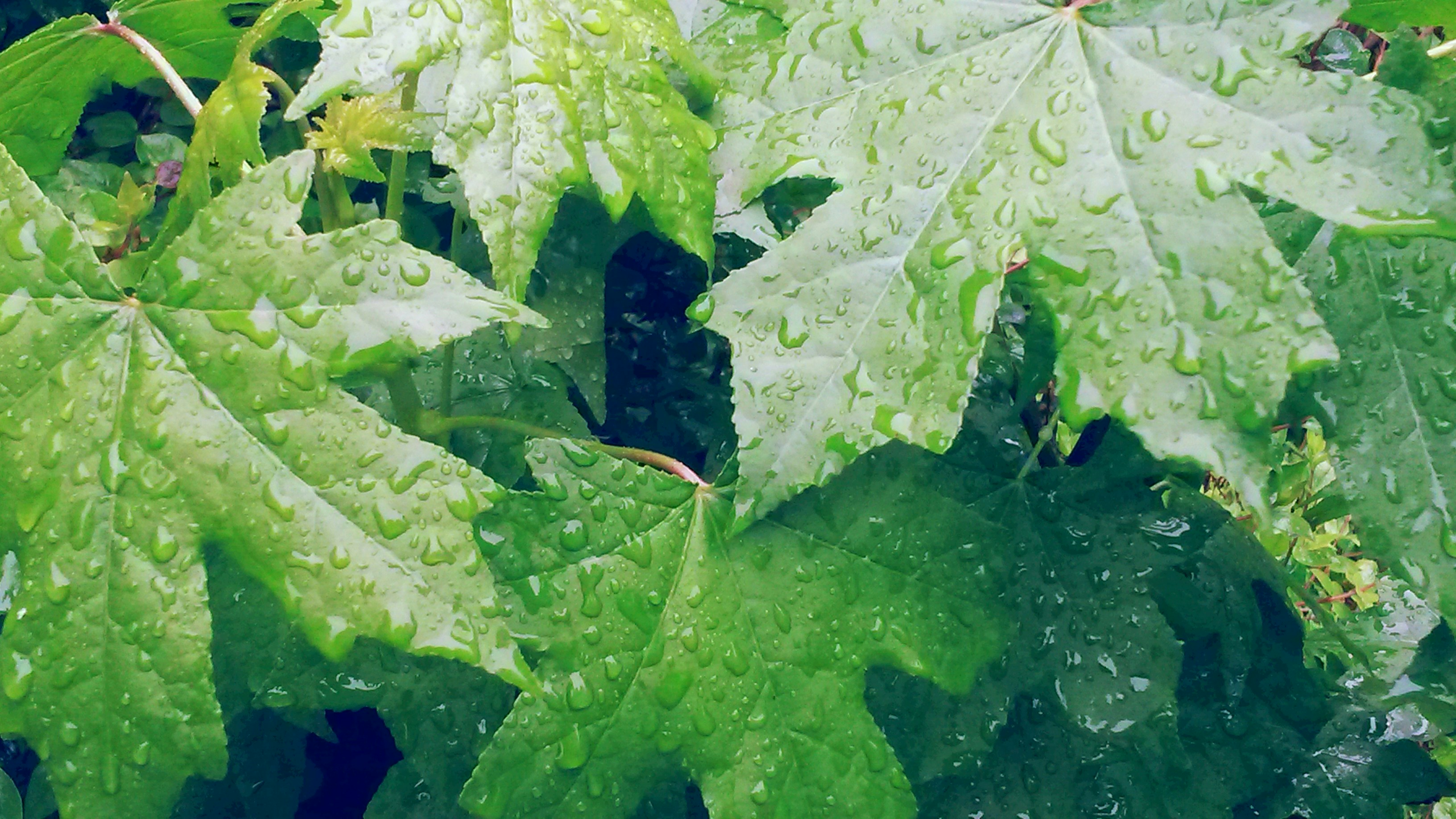 Free Unsplash photo from Katherine Gomez