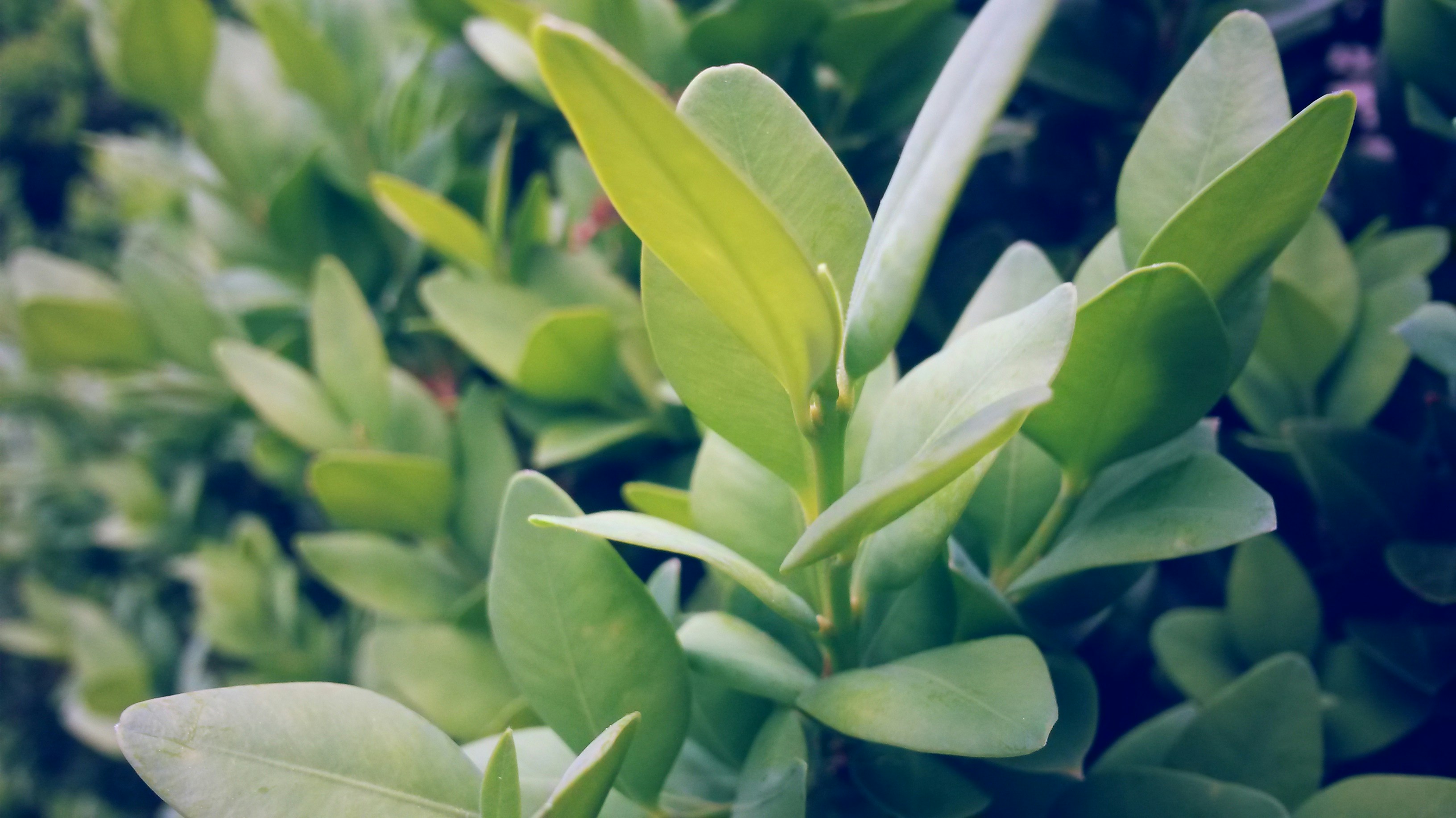 Free Unsplash photo from Katherine Gomez