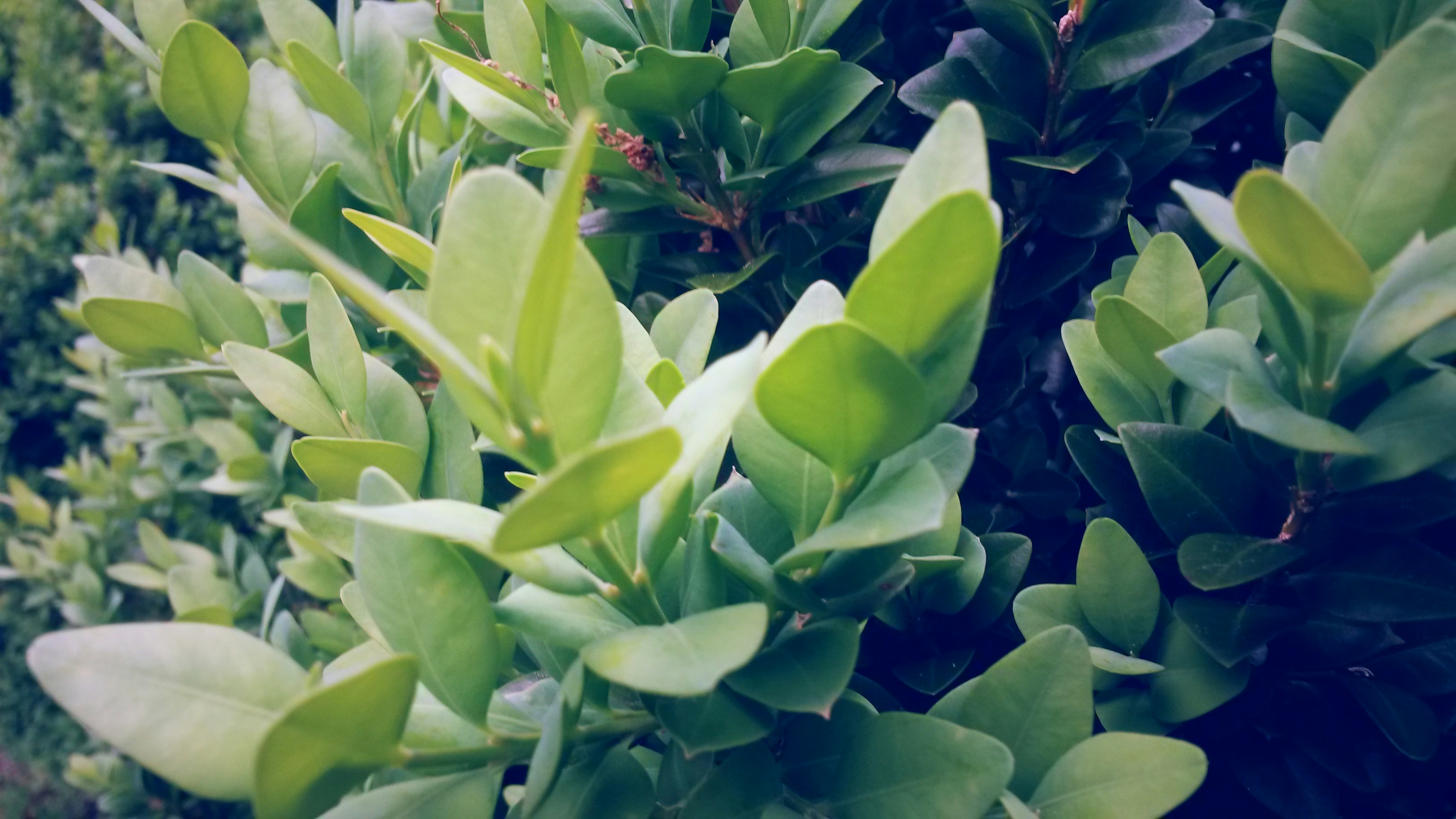 Free Unsplash photo from Katherine Gomez