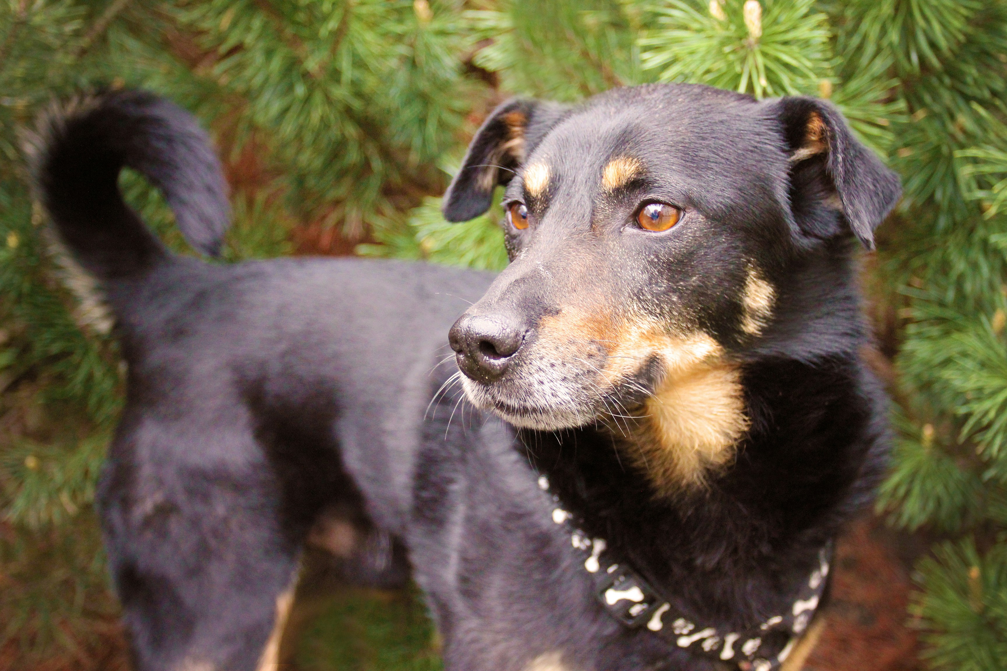 Free Unsplash photo from Zora