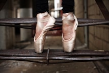 photo-1493733199174-afa591bd3bce?q=85&w=214&h=320&fit=crop Início