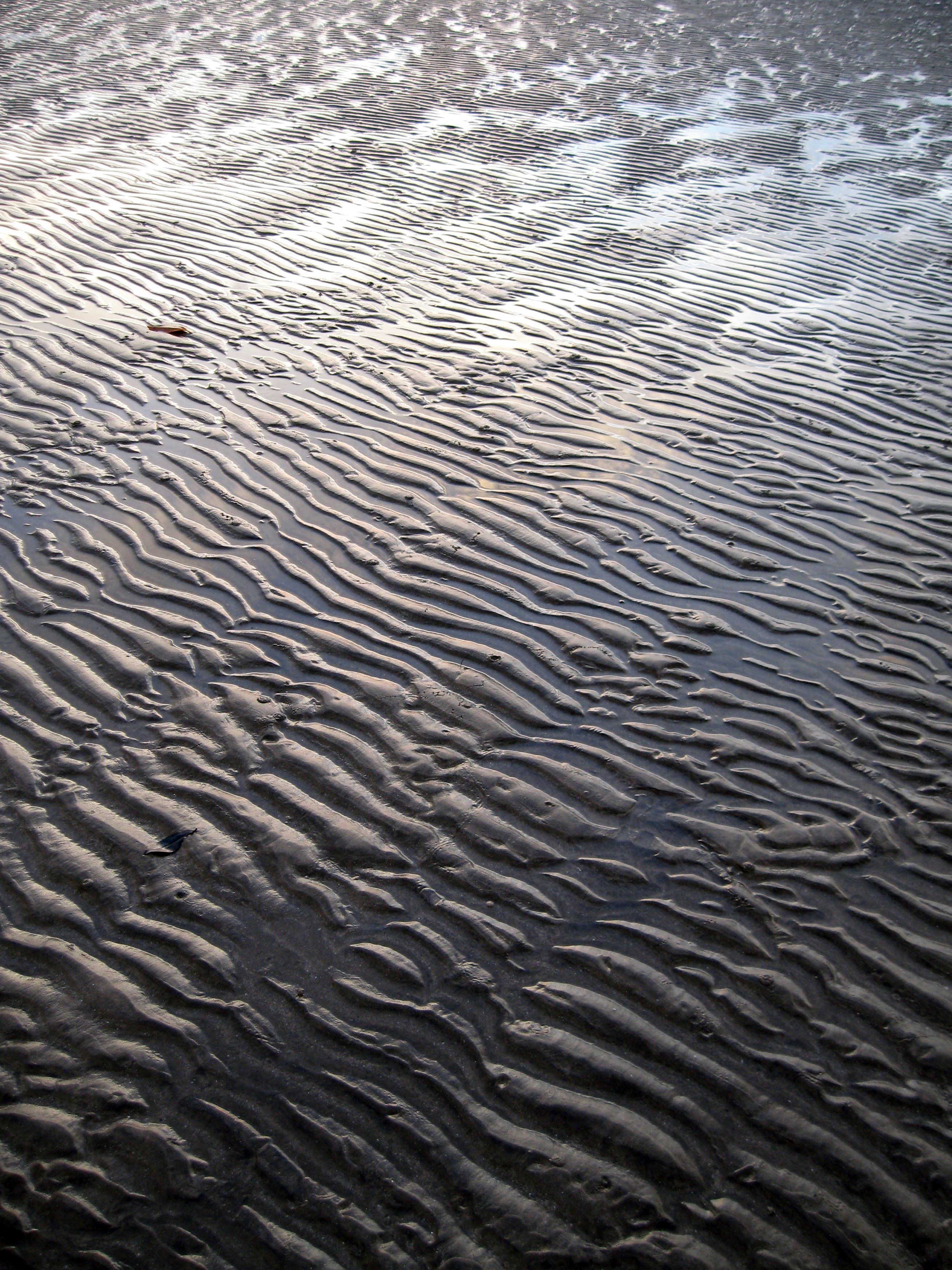 Free Unsplash photo from Nathan Nelson