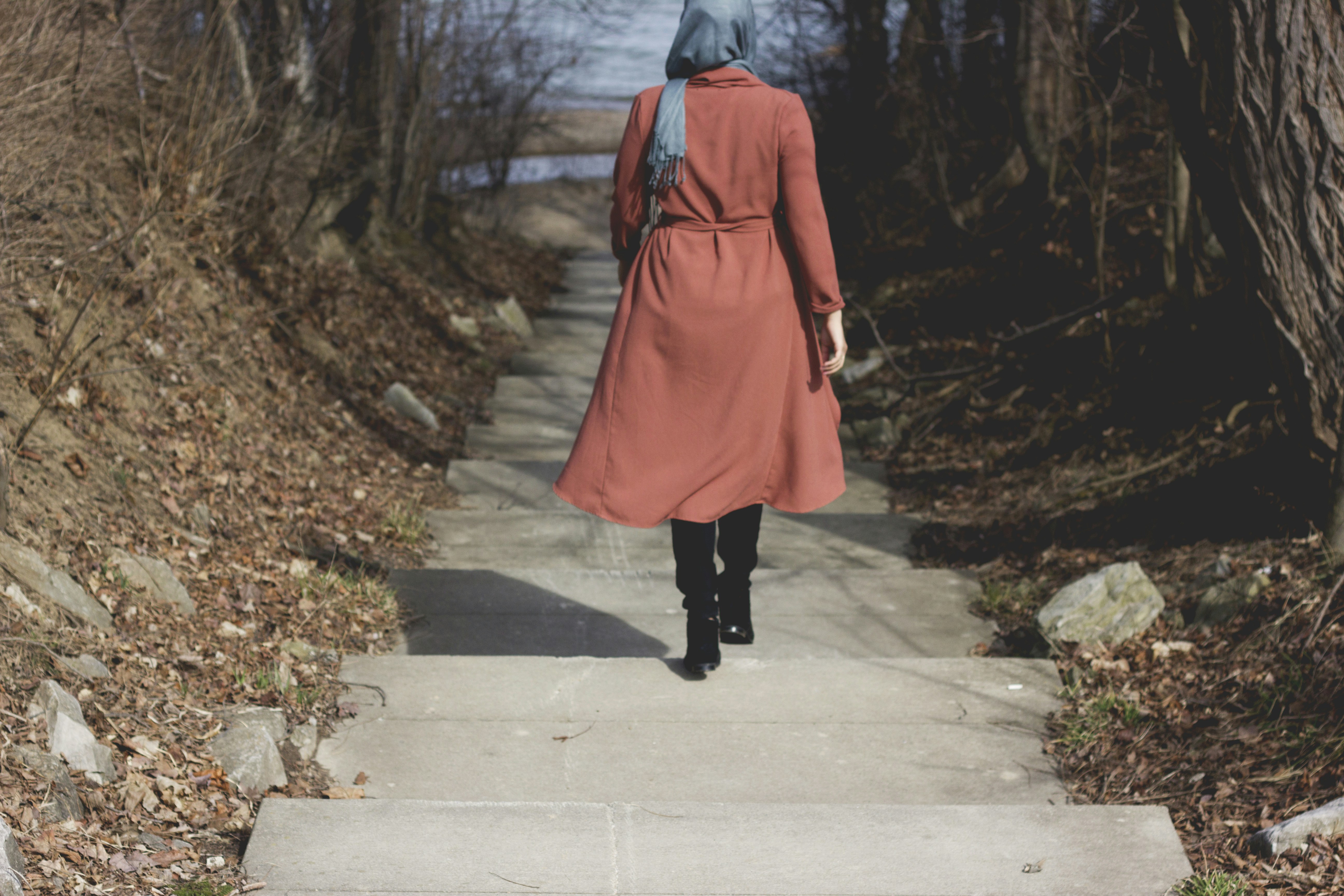 Free Unsplash photo from Ifrah Akhter