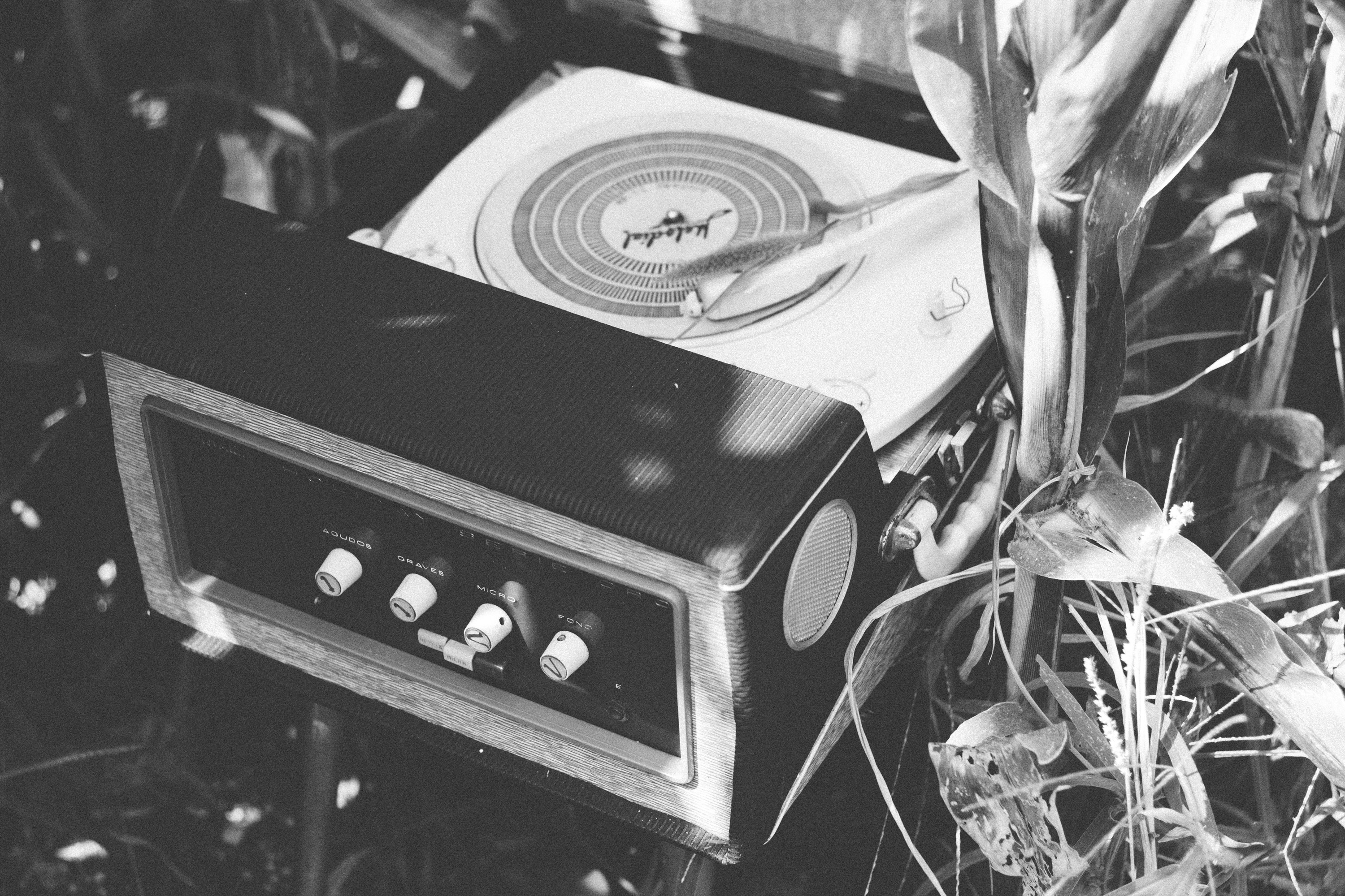 Free Unsplash photo from ester cano gonzález