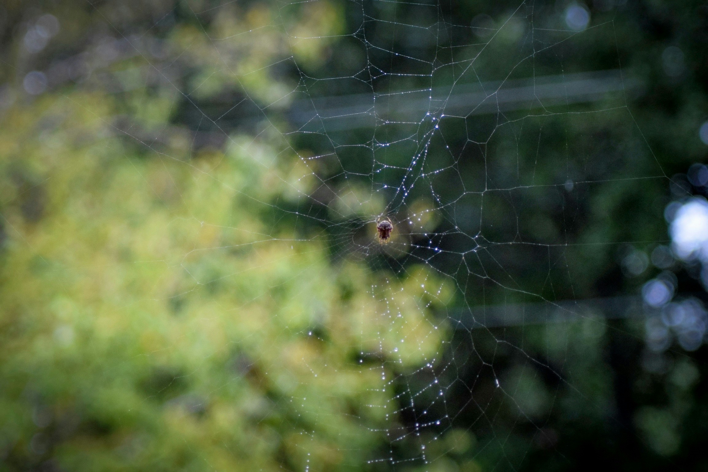 Free Unsplash photo from Multa Media