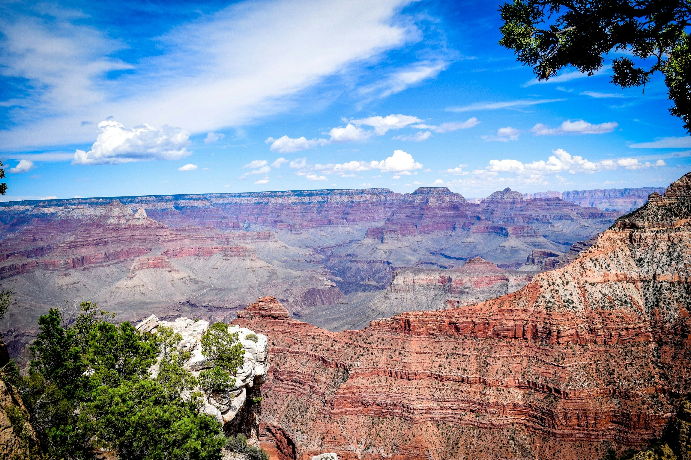 Free Unsplash photo from Multa Media