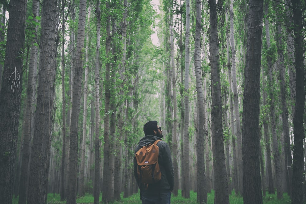 uomo in piedi tra gli alberi