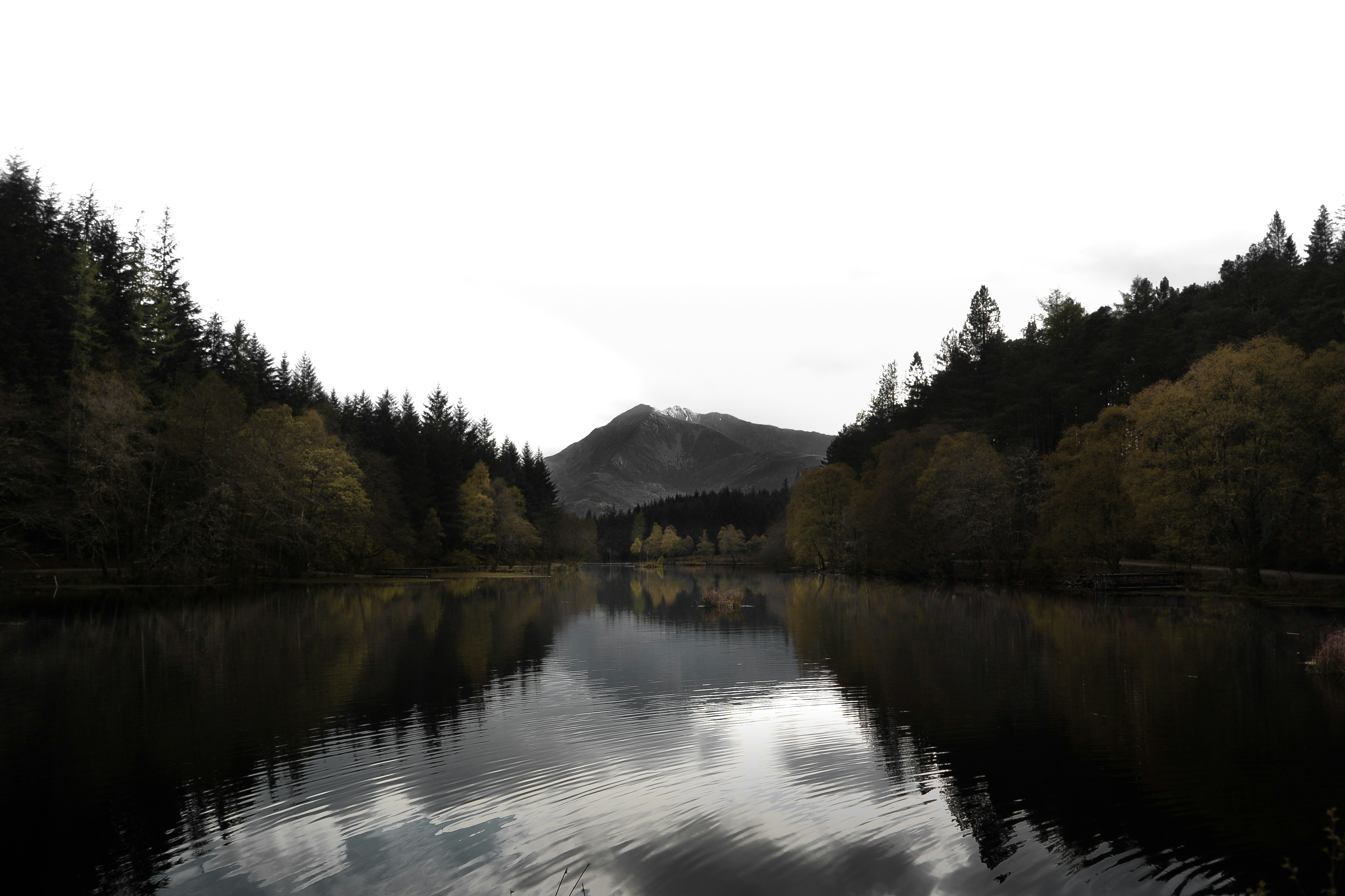 Free Unsplash photo from Jack Cairney