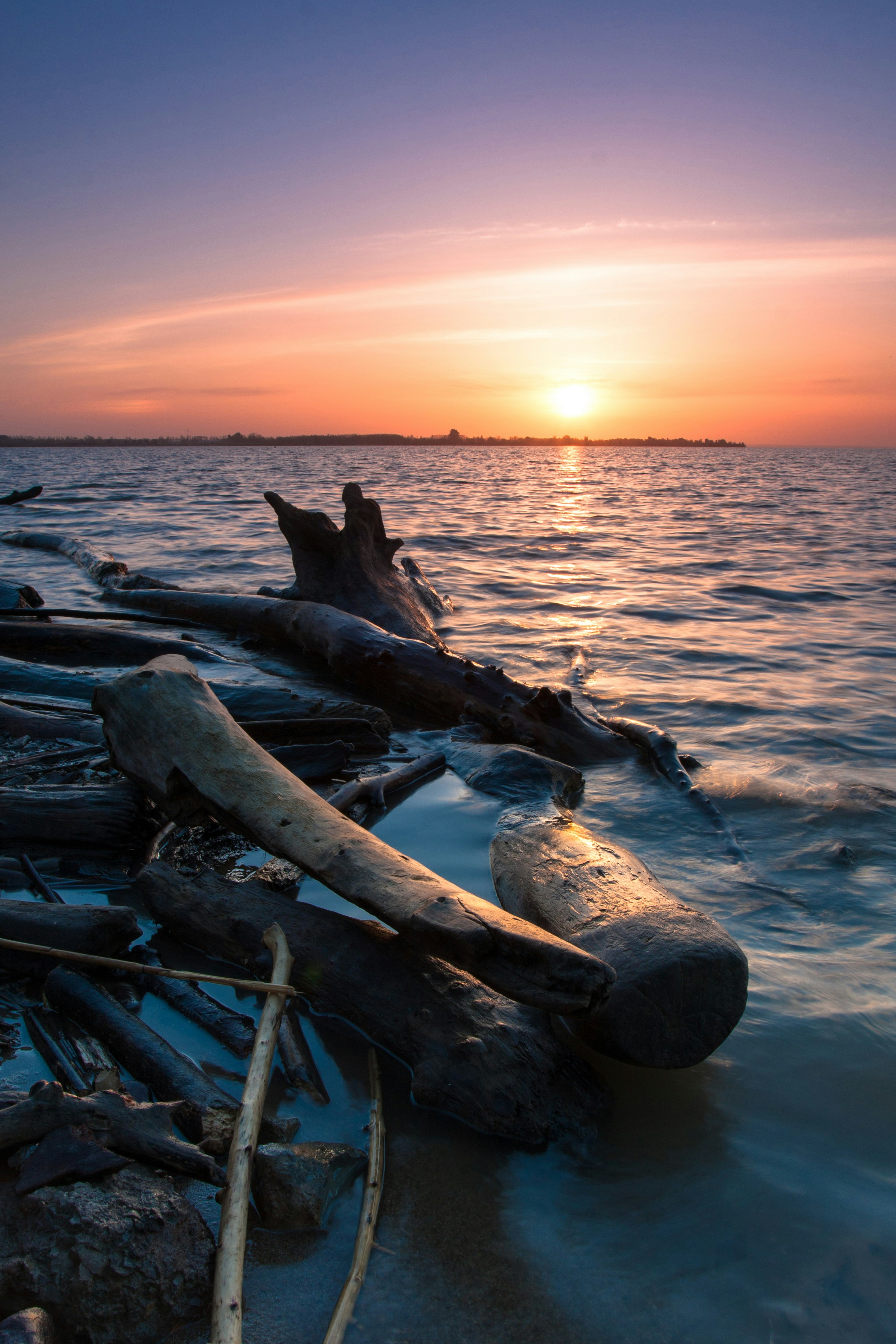 Free Unsplash photo from Dmitriy Kakunin