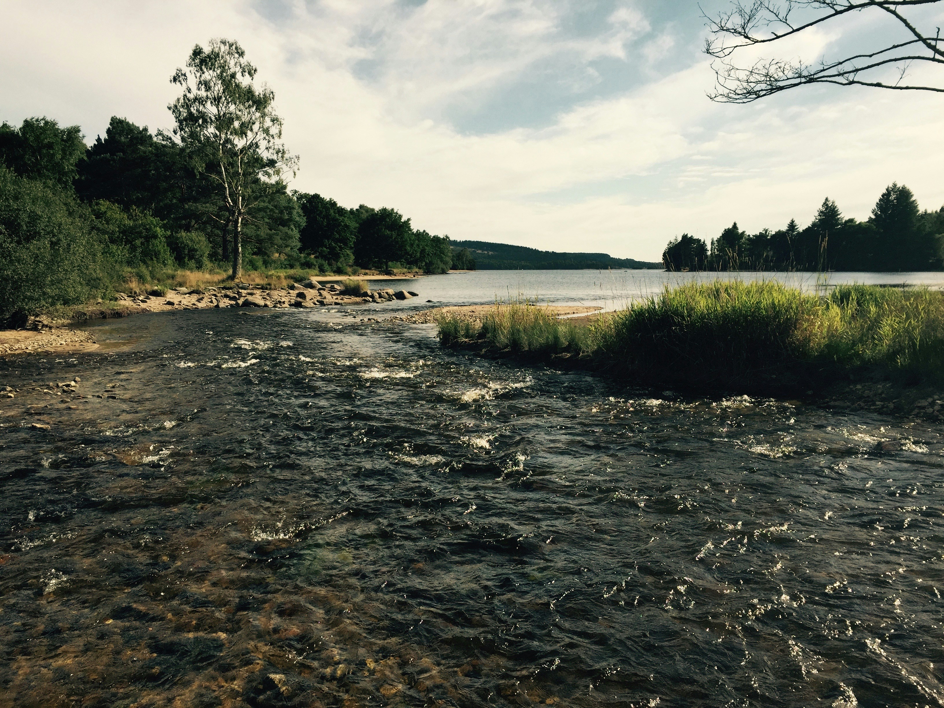 Free Unsplash photo from Jordi van Tuil