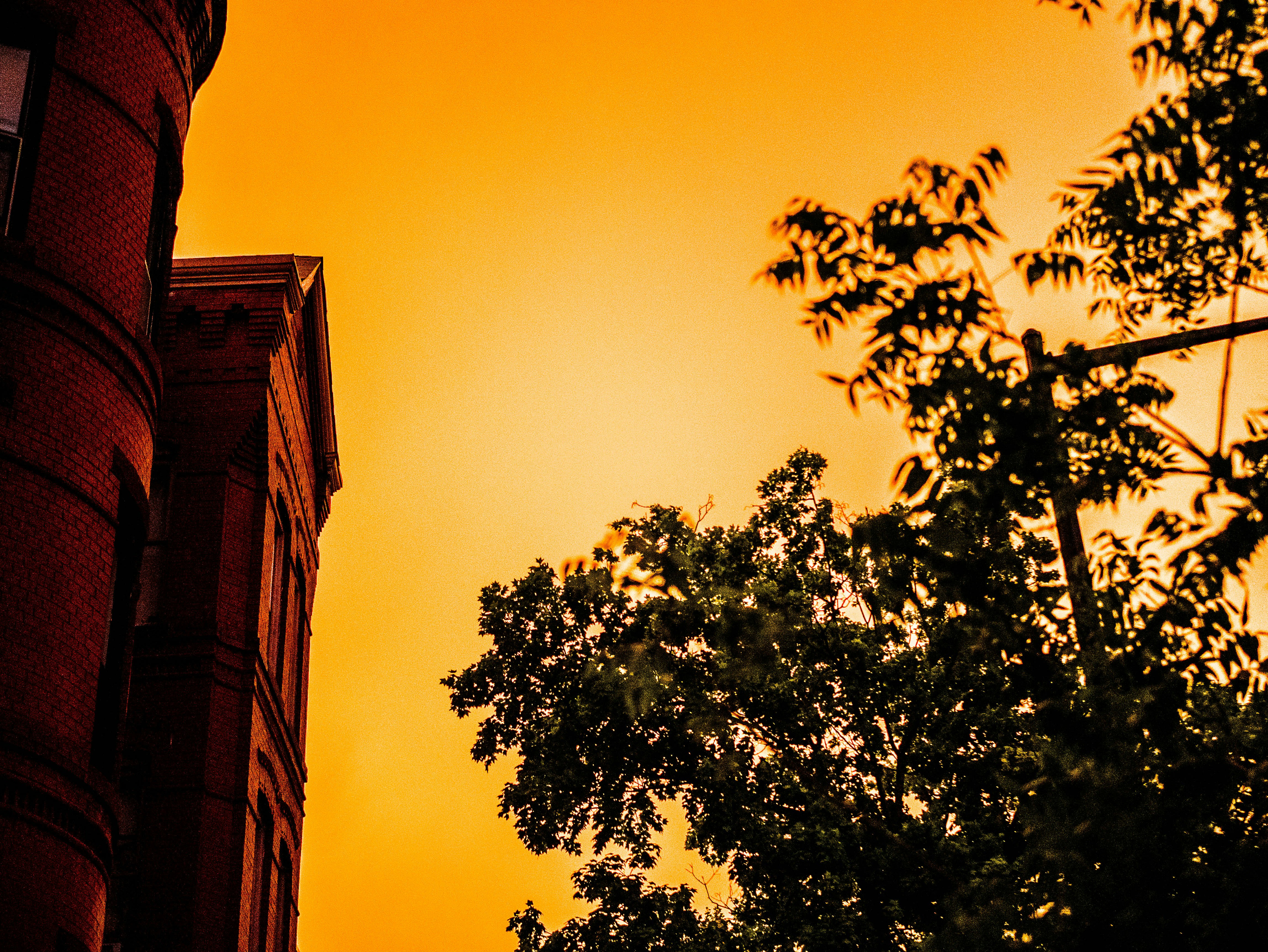 Free Unsplash photo from Kirby Crider