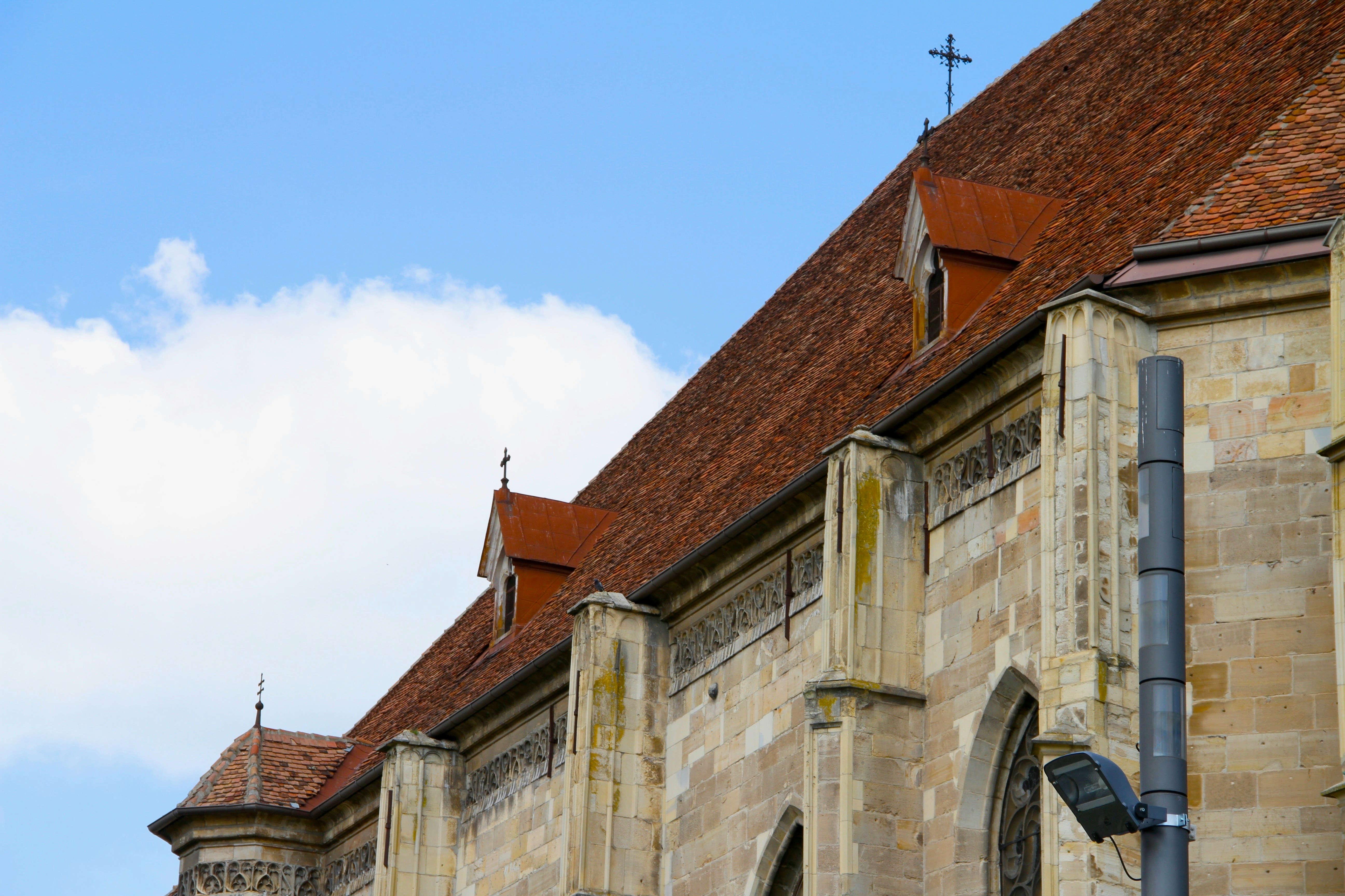 Free Unsplash photo from Megan Soule