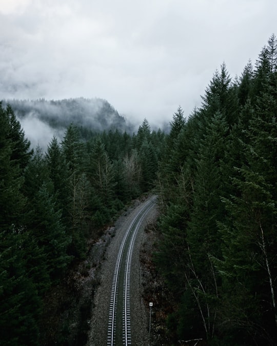 aerial view photography of pine trees during daytime in Alexandra Bridge Canada