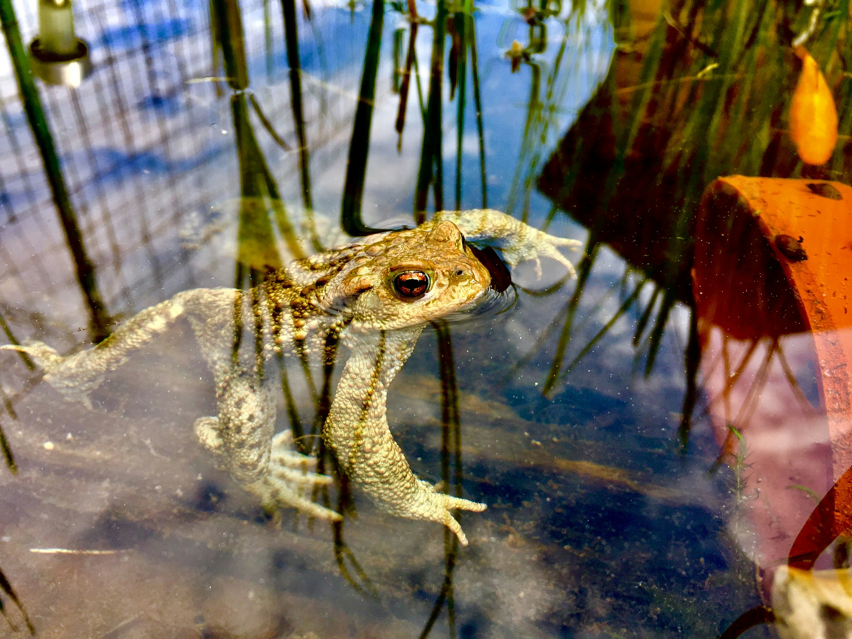 Free Unsplash photo from Peter Druska