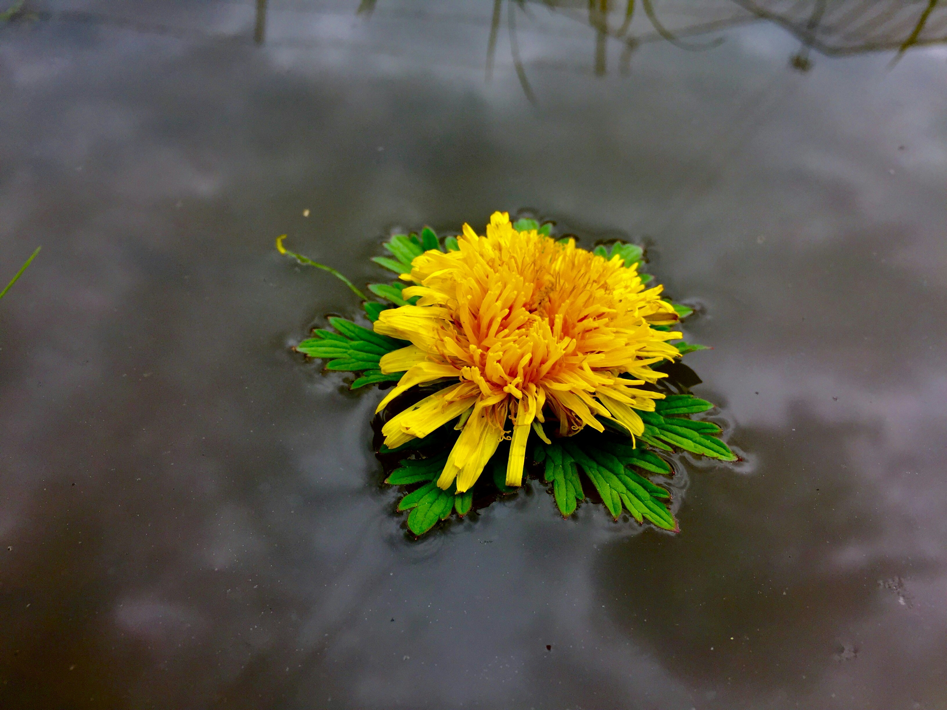 Free Unsplash photo from Peter Druska