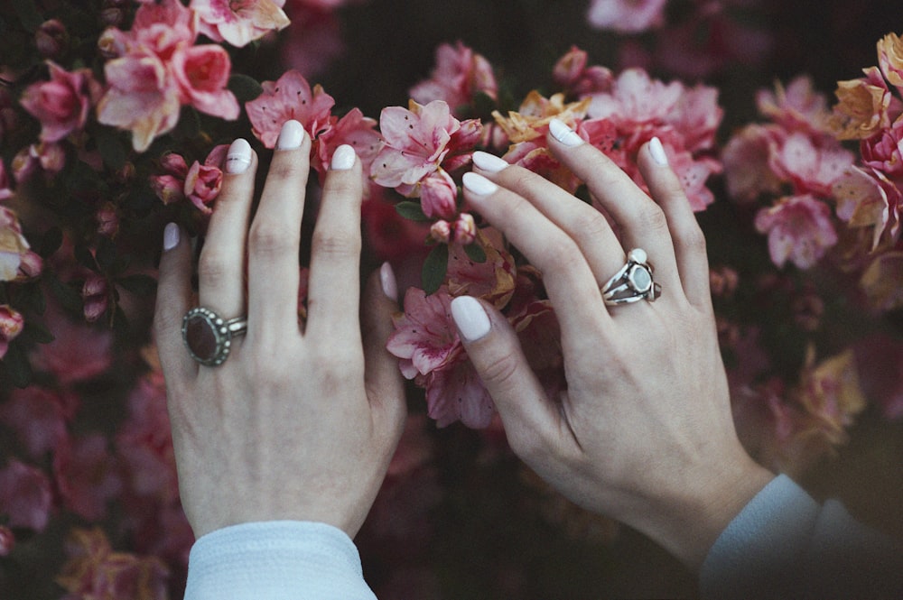 Persona sosteniendo flores rosas