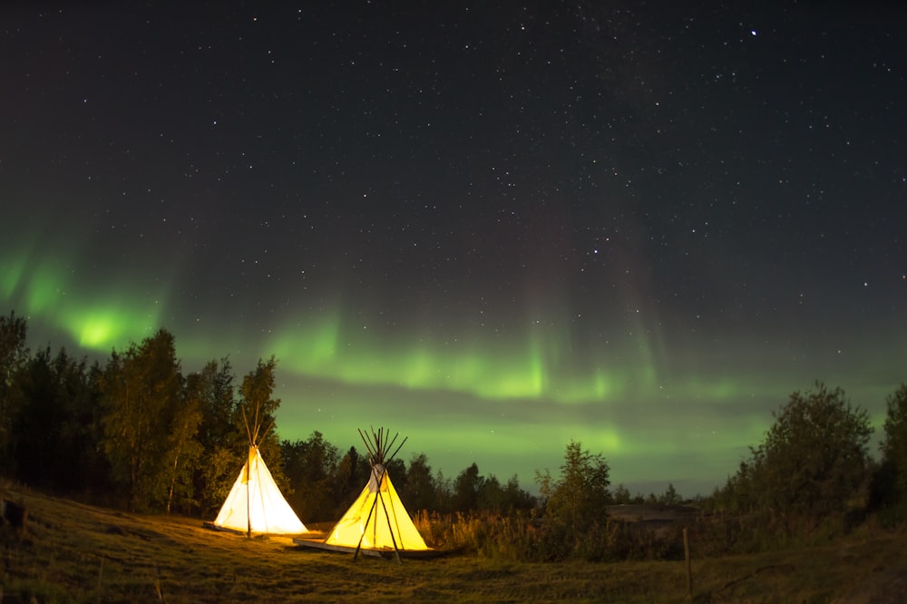 tenda da campeggio nella foresta durante la mezzanotte