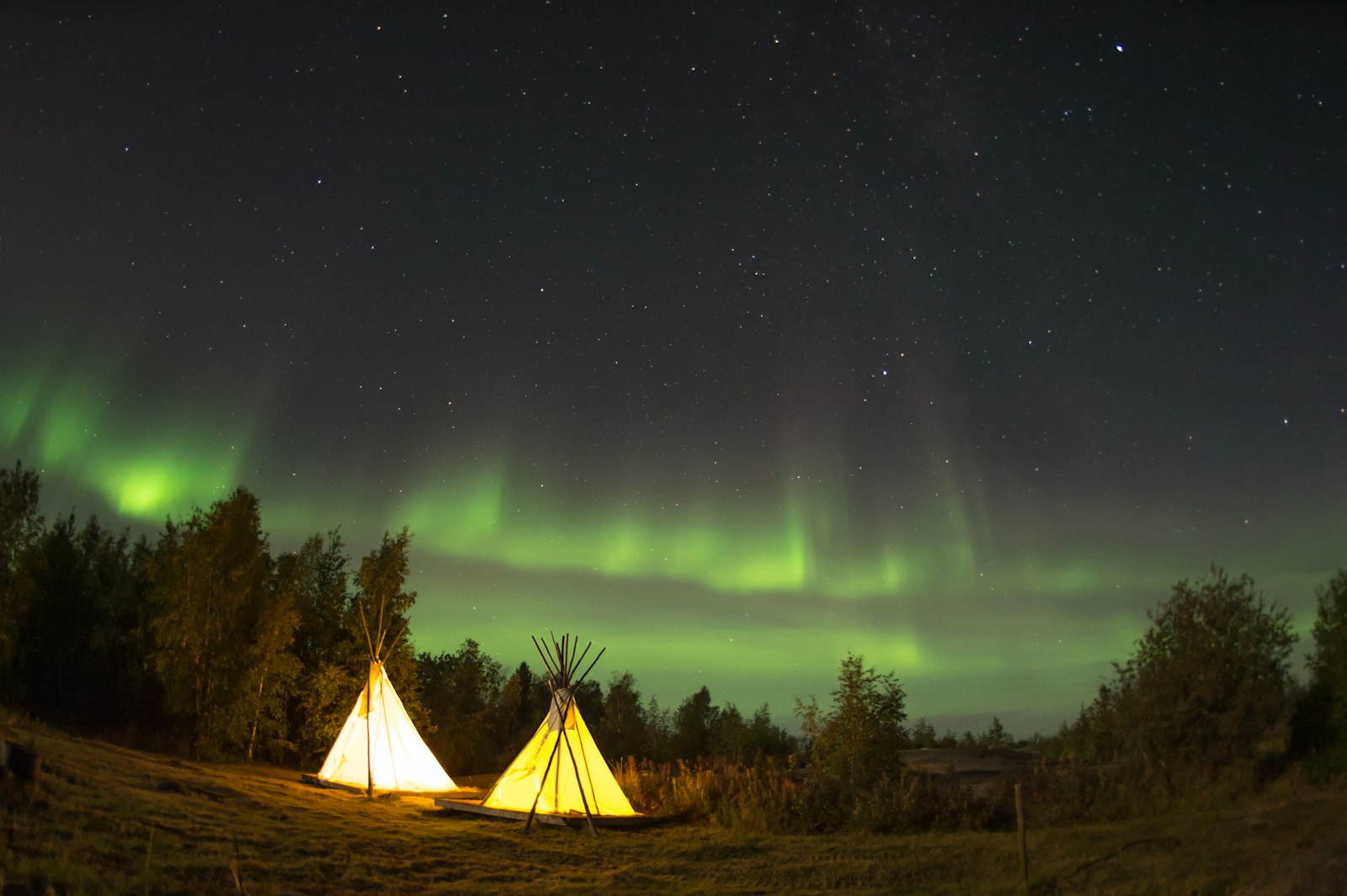 Nikon AF Fisheye-Nikkor 16mm F2.8D sample photo. Camping tent in forest photography