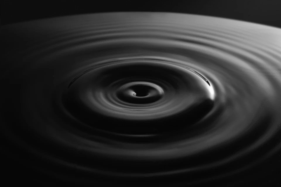 Close-up view of black and white photograph with dark circular pattern and concentric circles
