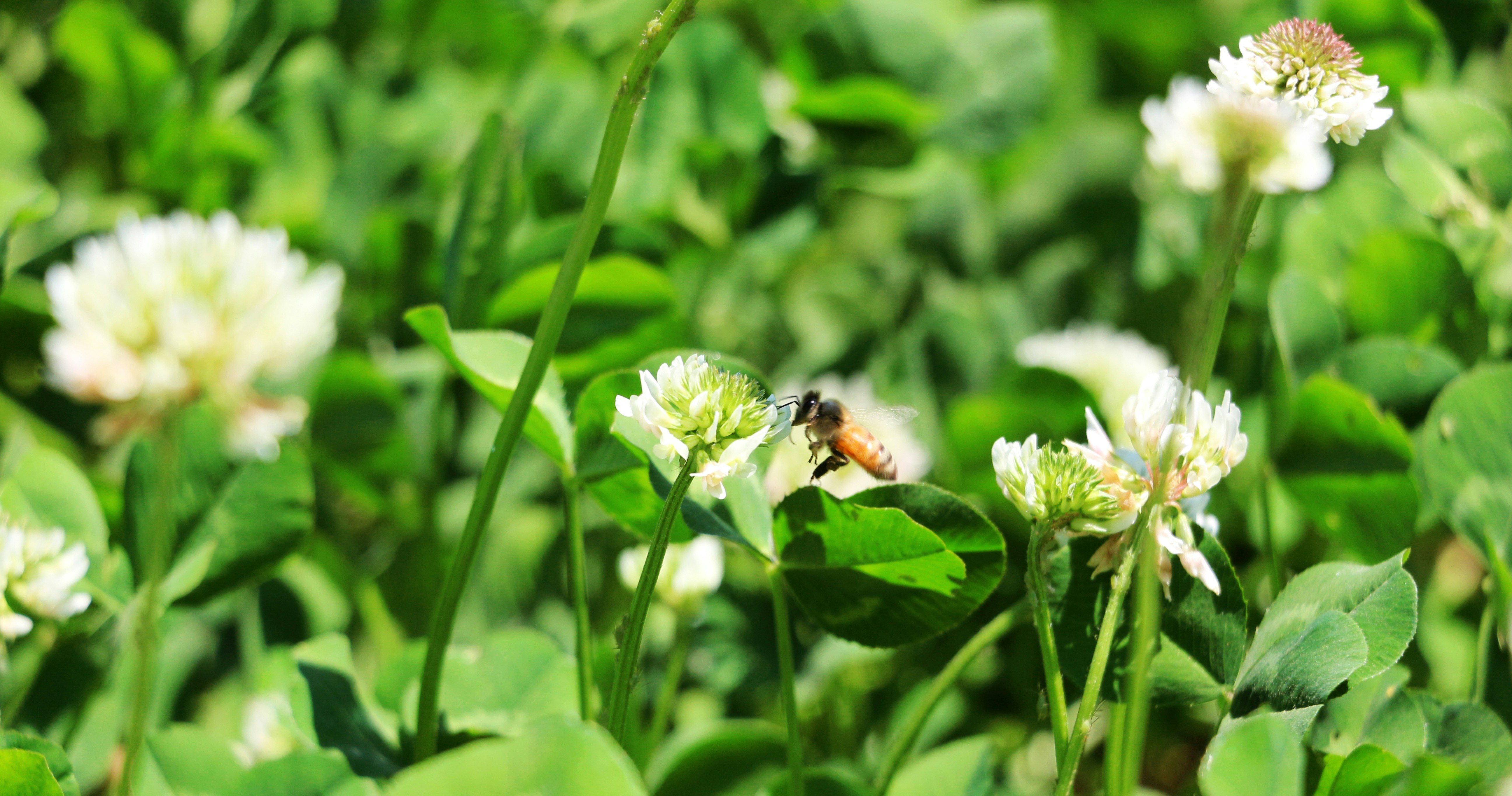 Free Unsplash photo from zhang ruibo