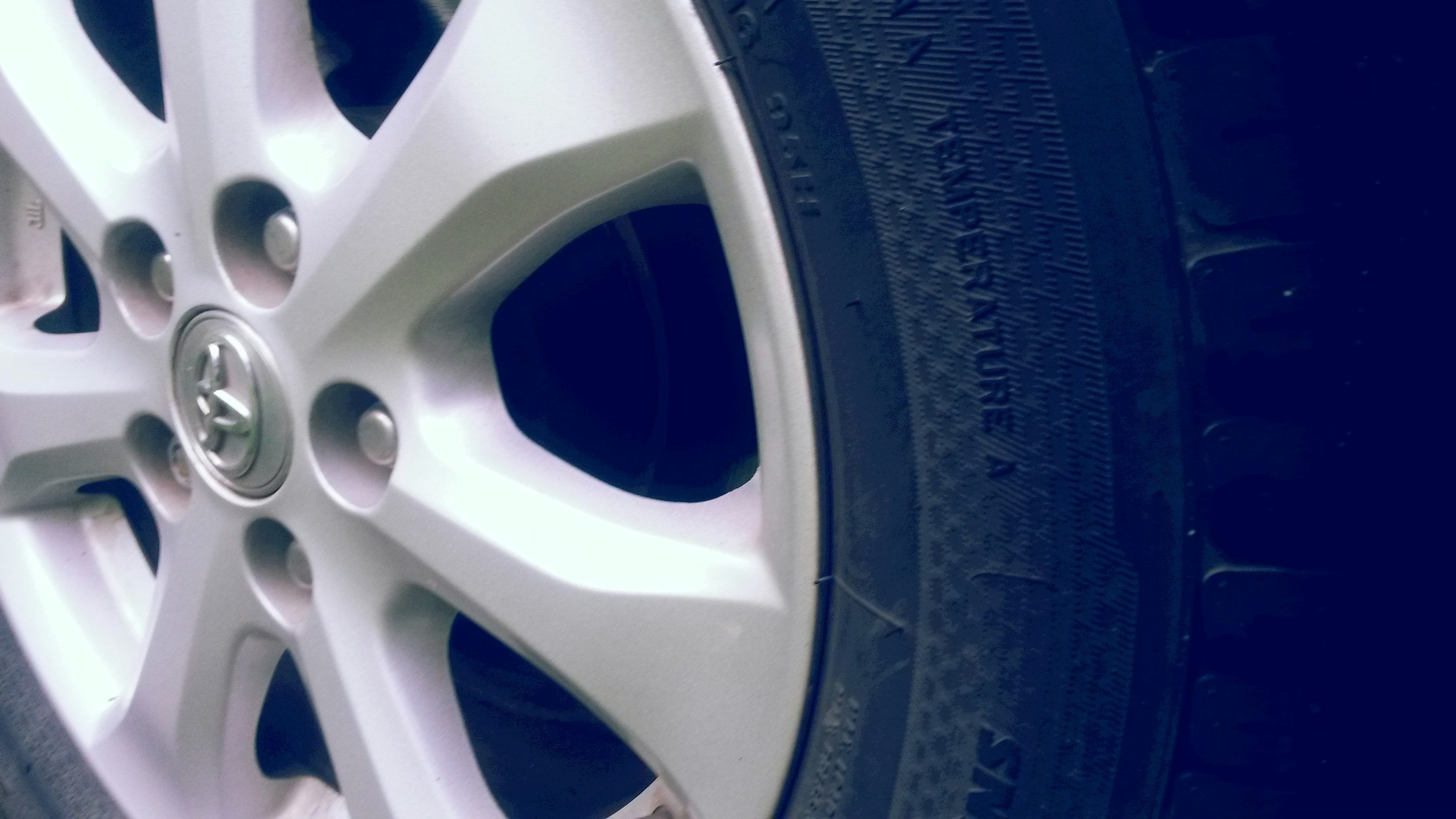 Free Unsplash photo from Katherine Gomez