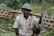 A smiling middle-aged farmer holding a basket of fresh organic herbs in a sunlit field.