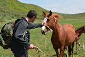 A person with a camouflage backpack is gently holding the face of a brown horse with a white stripe down its nose. The scene is set in a lush, green field with rolling hills in the background. Another horse, possibly a foal, is partially visible behind the main horse.