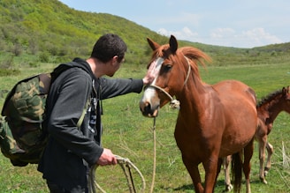 A person with a camouflage backpack is gently holding the face of a brown horse with a white stripe down its nose. The scene is set in a lush, green field with rolling hills in the background. Another horse, possibly a foal, is partially visible behind the main horse.