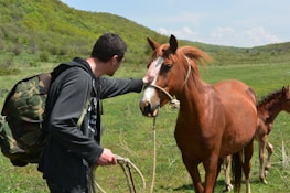 A person with a camouflage backpack is gently holding the face of a brown horse with a white stripe down its nose. The scene is set in a lush, green field with rolling hills in the background. Another horse, possibly a foal, is partially visible behind the main horse.