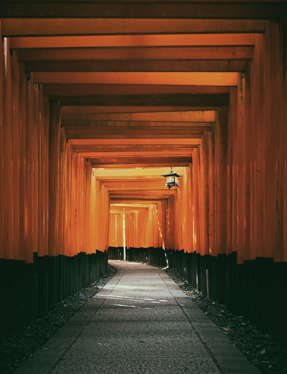 close up photography of empty brown and black tunnel