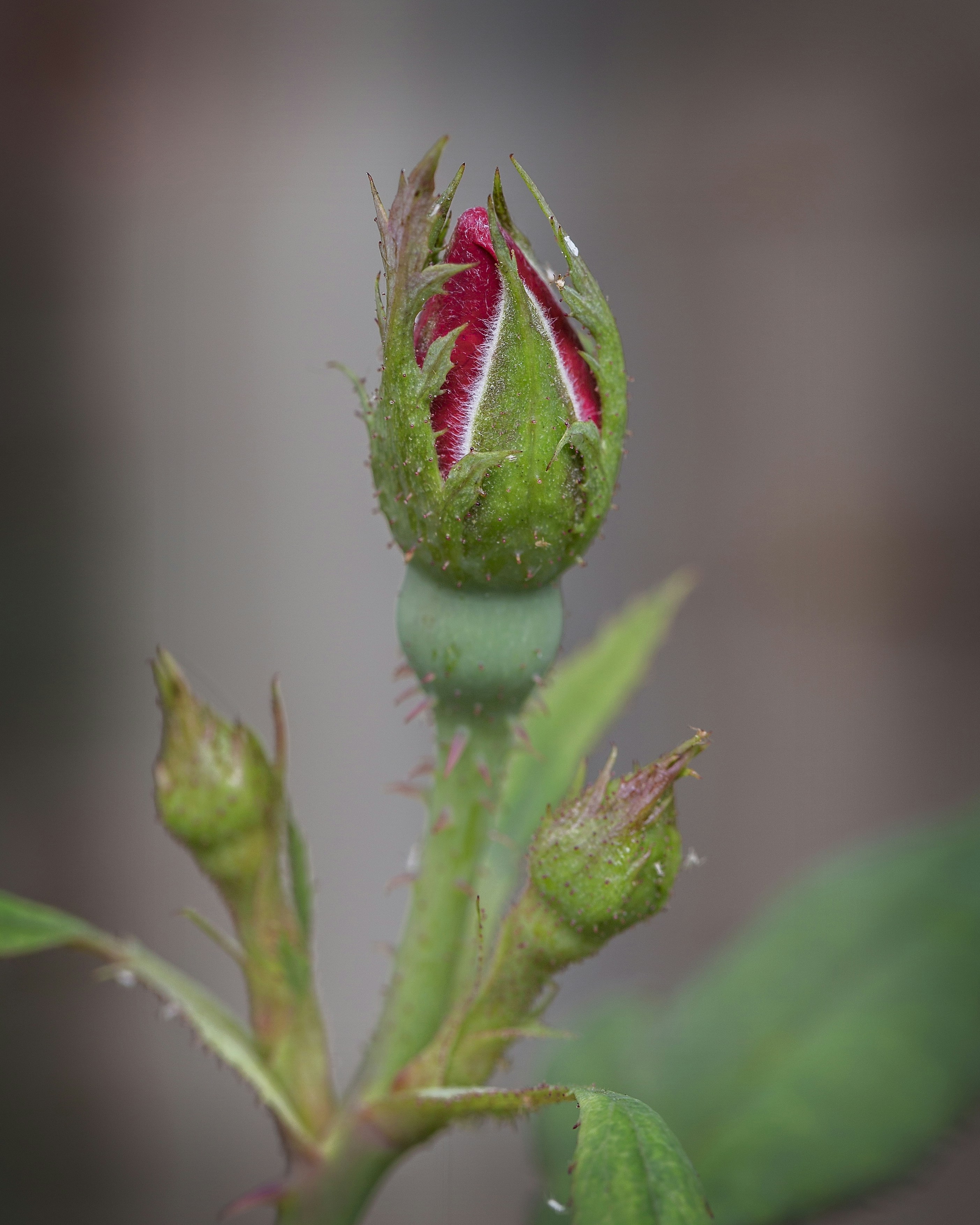 Free Unsplash photo from Sergey Nosov